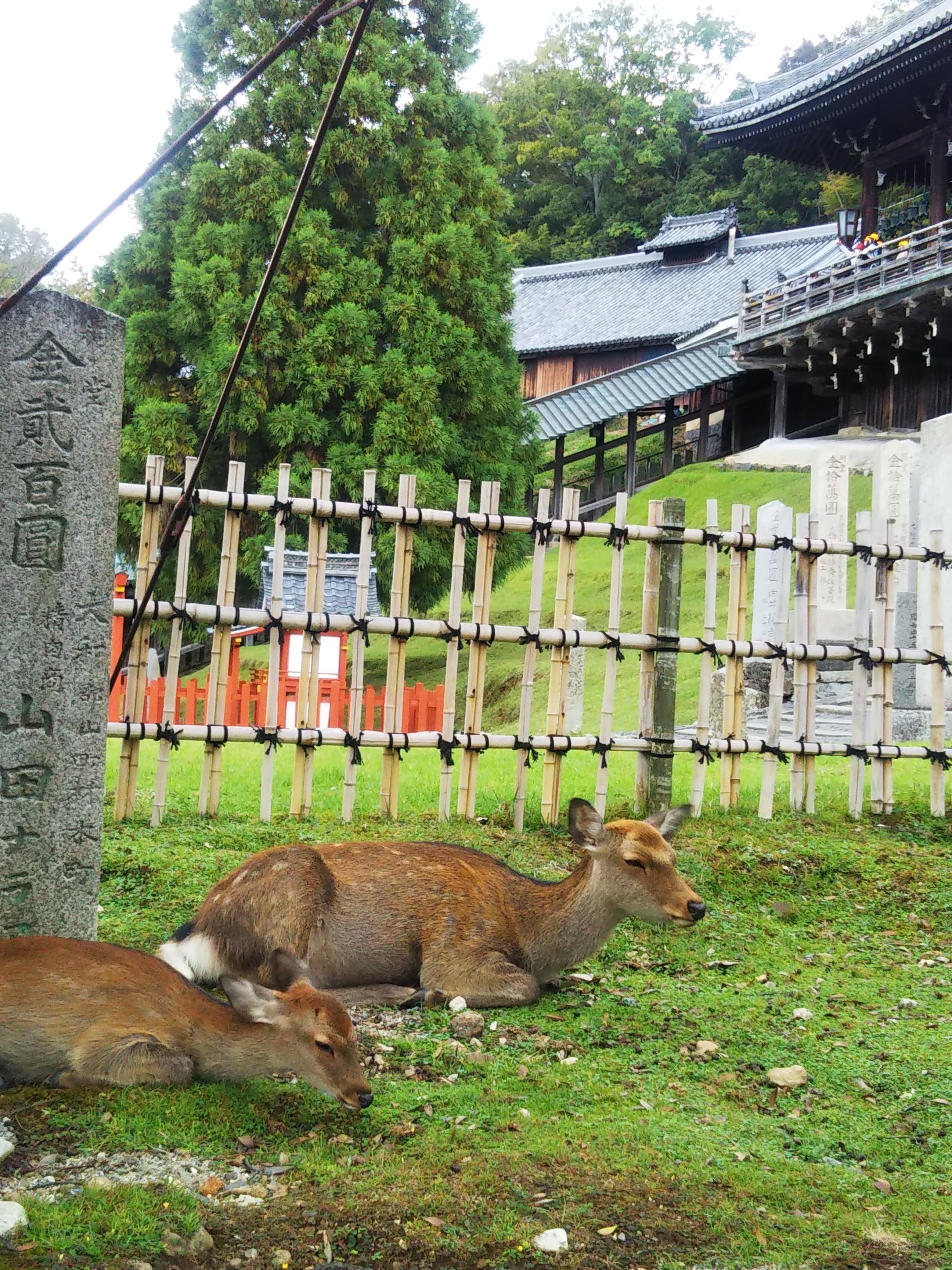 ☆特別編☆10月5日は転害会/国宝/快慶「東大寺⇔手向山八幡宮」アフロ
