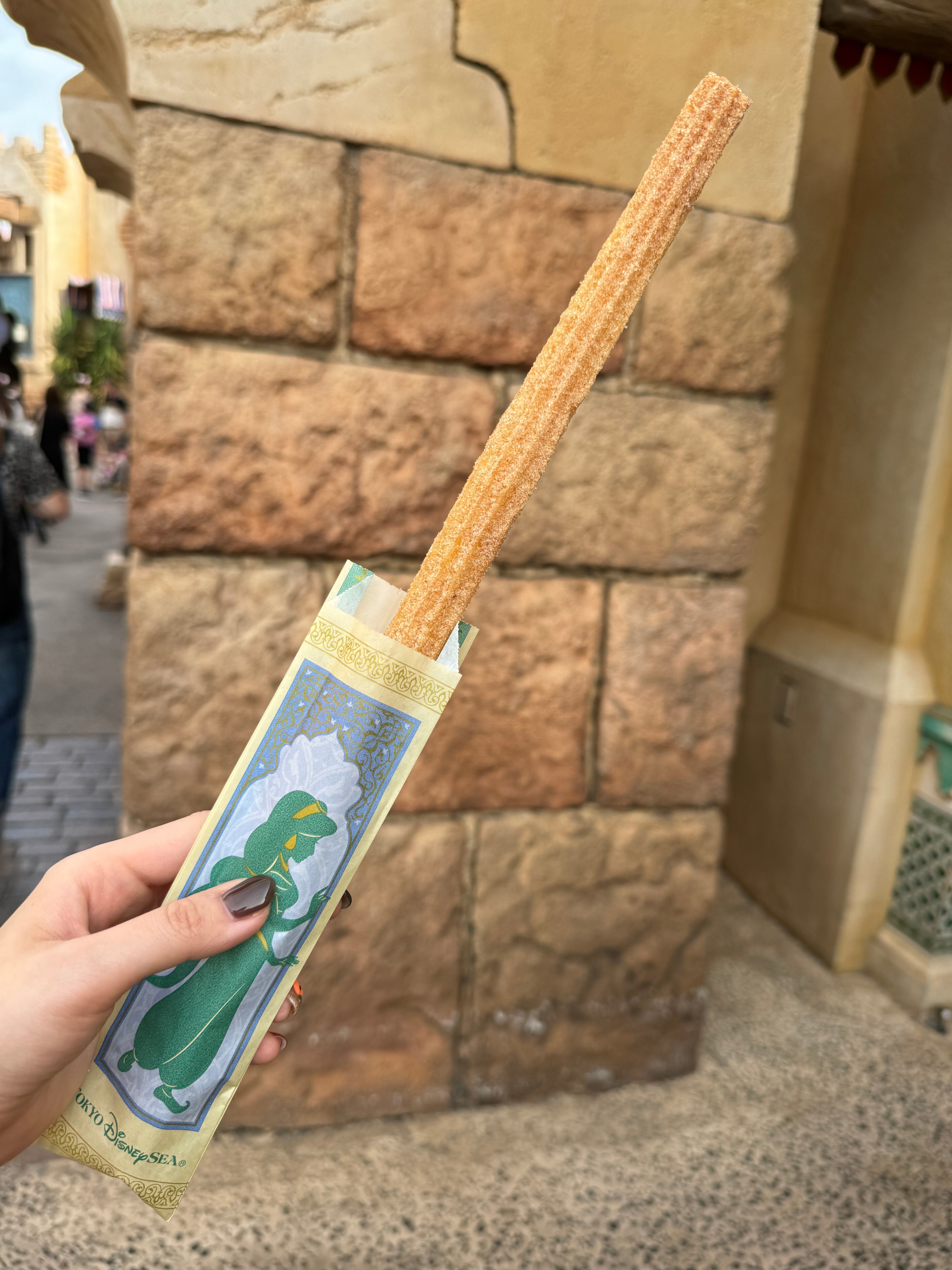 7年ぶりに1人で東京ディズニーシーに行ってみた！！事前準備・当日の