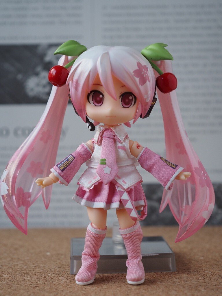 うちのカメラ(ミラーレス一眼編:OLYMPUS)|さいとう みかこ うちのカメラ(ミラーレス一眼編:OLYMPUS)|さいとう みかこ