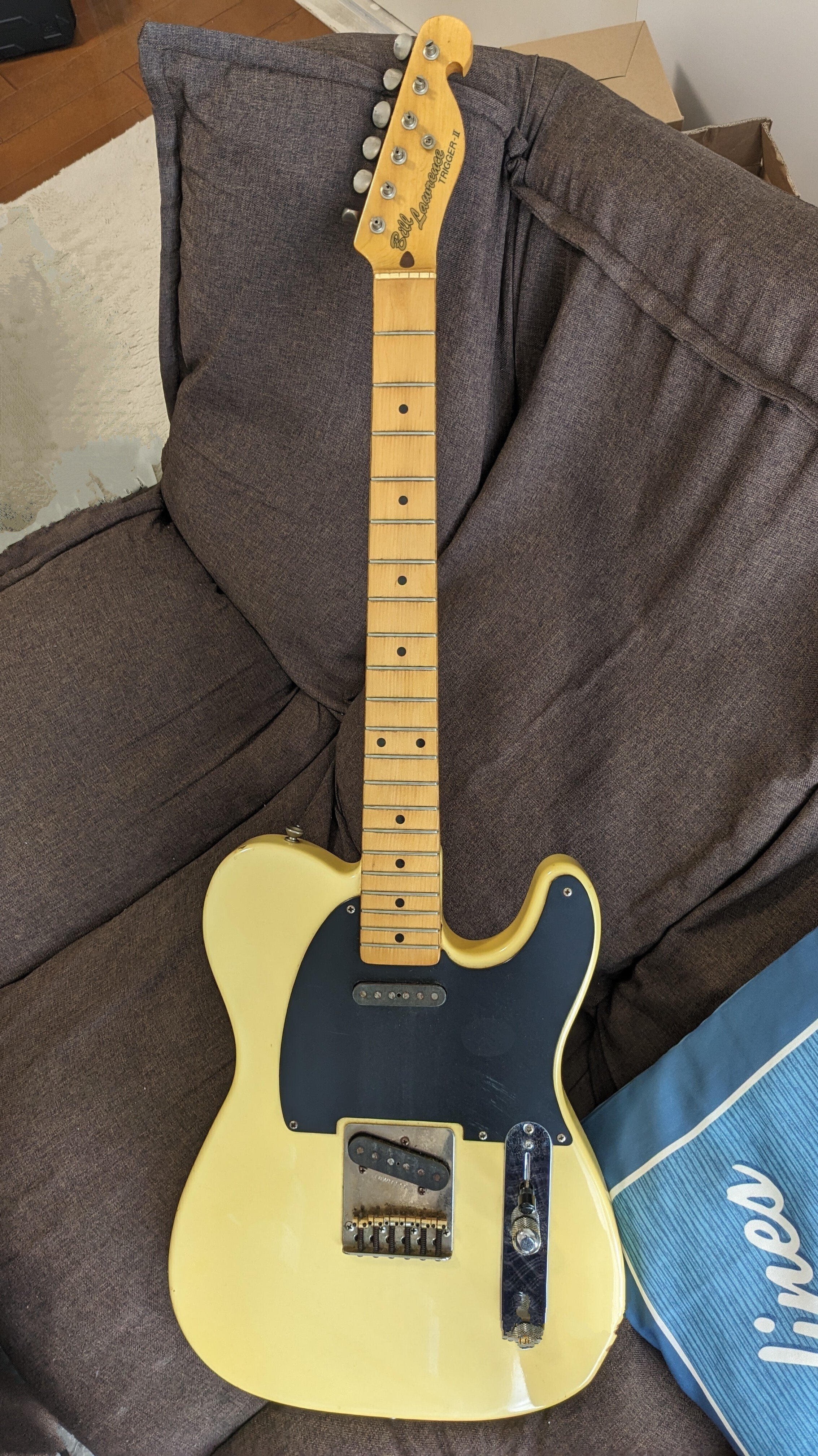 Bill Lawrence BTⅡM-70|ボーンアンドスキンA Bill Lawrence BTⅡM-70|ボーンアンドスキンA