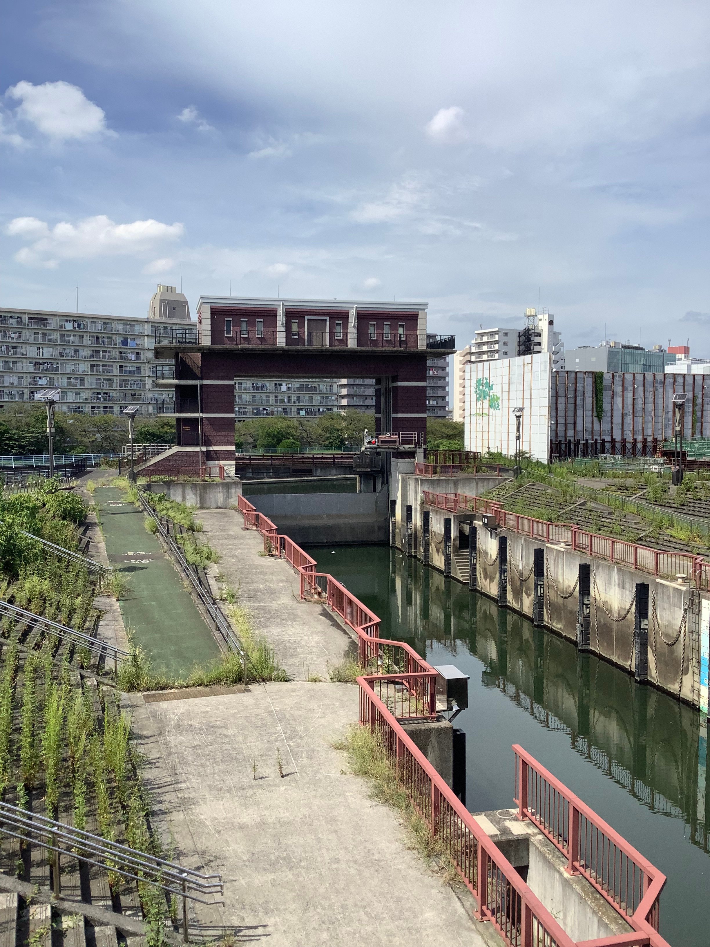 荒川土手 土手を歩こう③（荒川土手 新荒川大橋〜鹿浜橋）｜梨