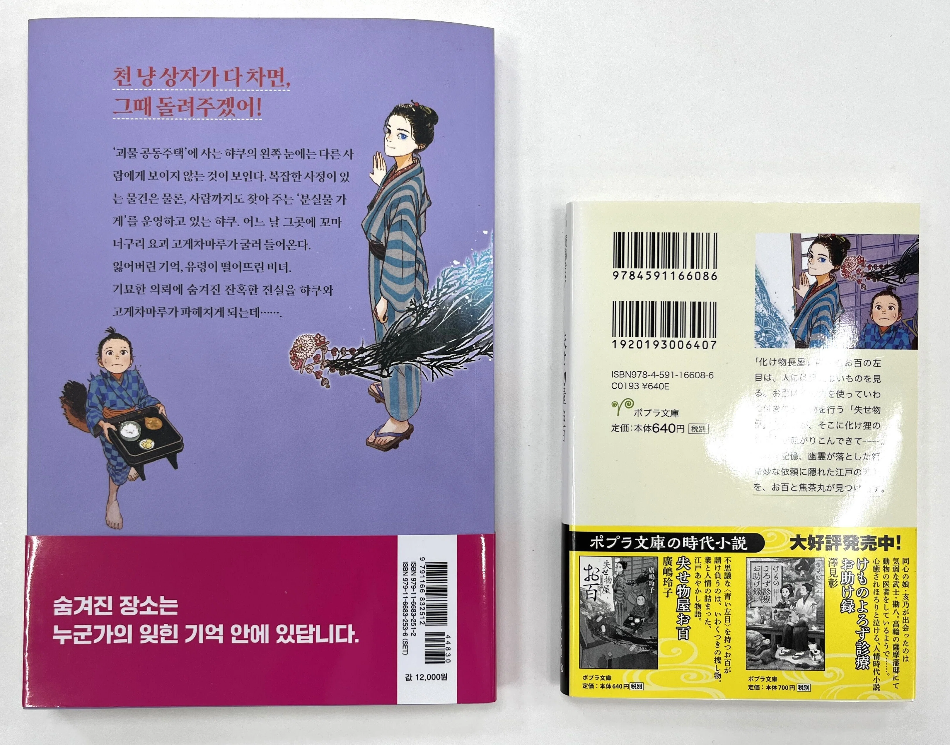 David Williams 児童書10冊セット。 ベストセラー　英語多読 青い表紙の本 海外 David Williams 児童書10冊セット ベストセラー