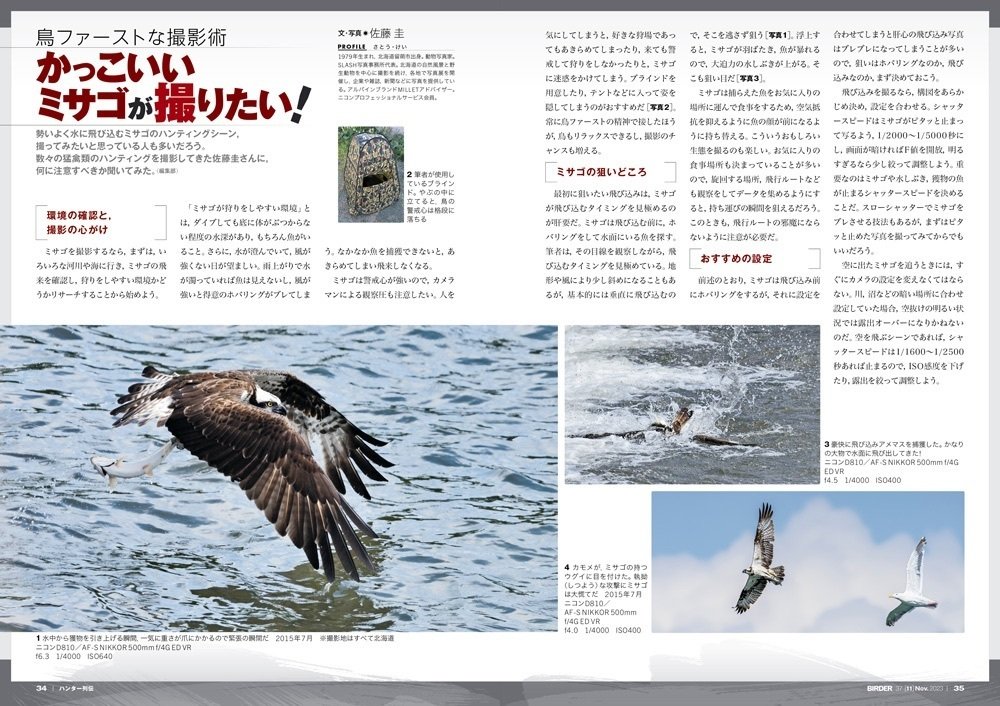 初版 霞流一 火の鶏 ハルキノベルス 奇跡鑑定人 語り〗 手塚治虫 超大作 火の鳥⑪『異形編』 水色赤の勝手に語る