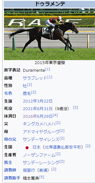 【期限切れ単複馬券】　メイクデビュー東京　2014 ドゥラメンテ　ウマ娘 2026年最新】ドゥラメンテ 馬券の人気アイテム - メルカリ