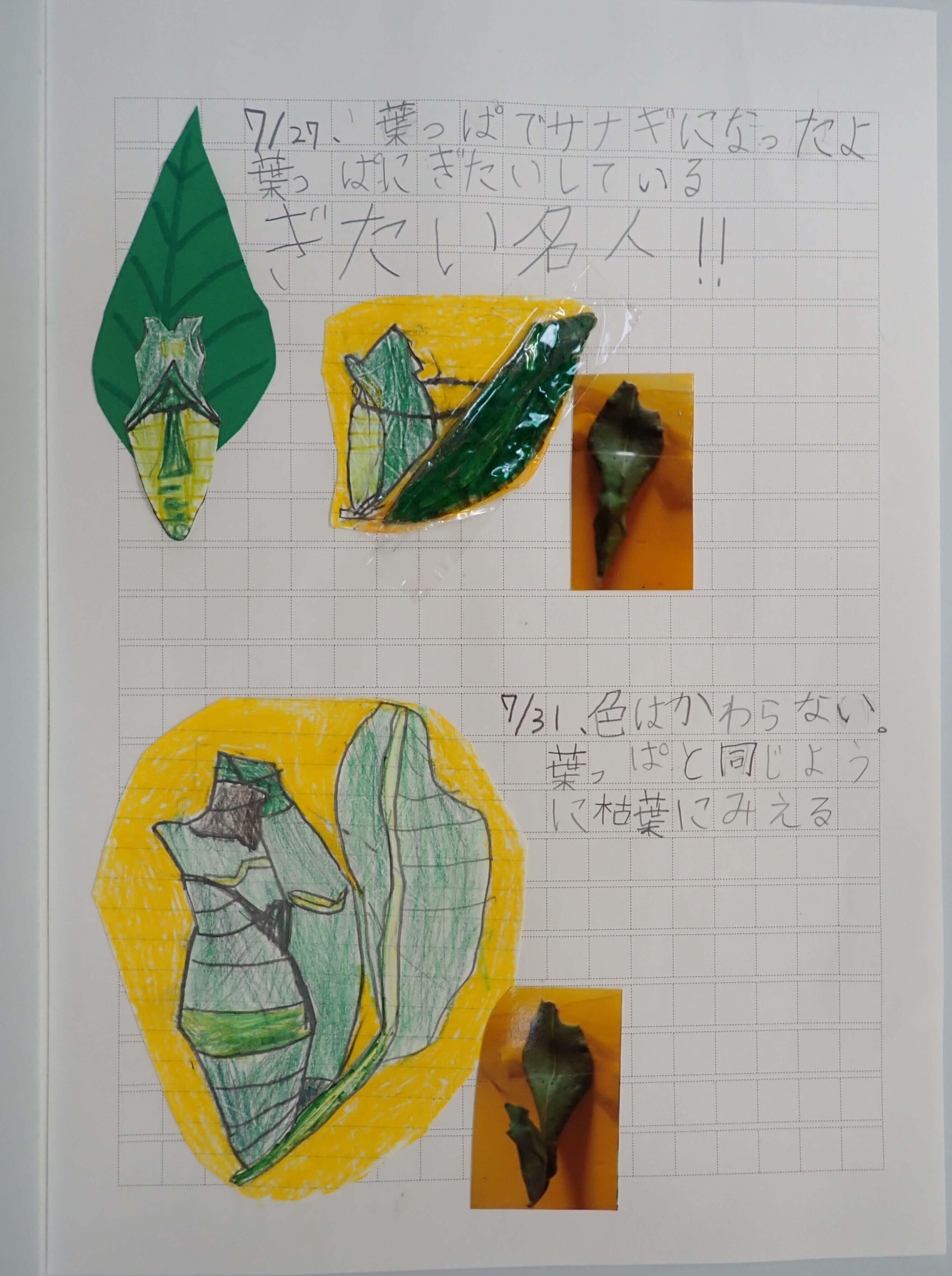 絵画　ANNA．Ｋ　蛹　自由な色 🖼️奈良美智さんの新作🖼️ 原宿のBLUM TOKYOで鑑賞。 光が入る角の壁