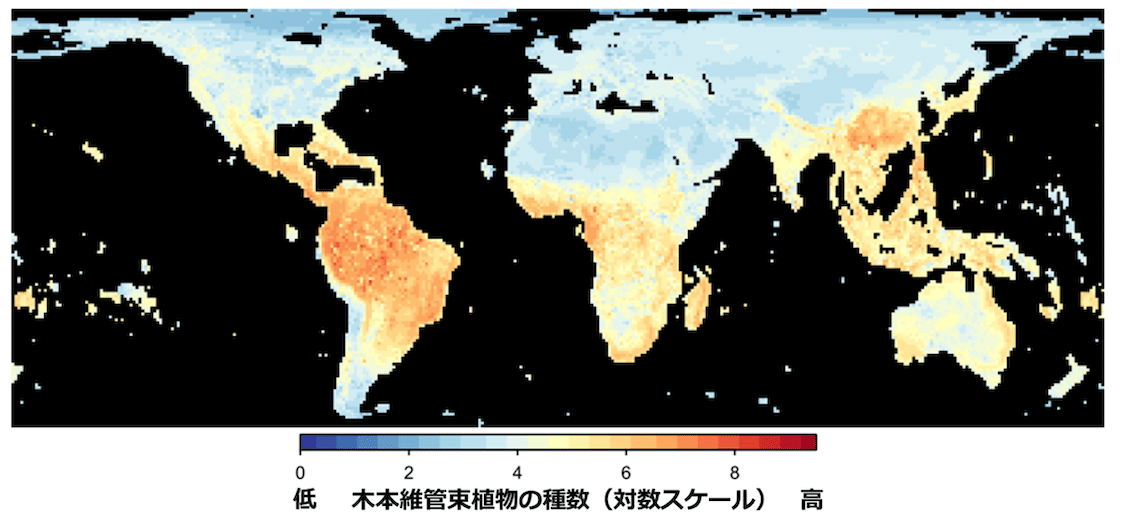 世界の森の豊かさを生物多様性ビッグデータで見える化！ 暗号