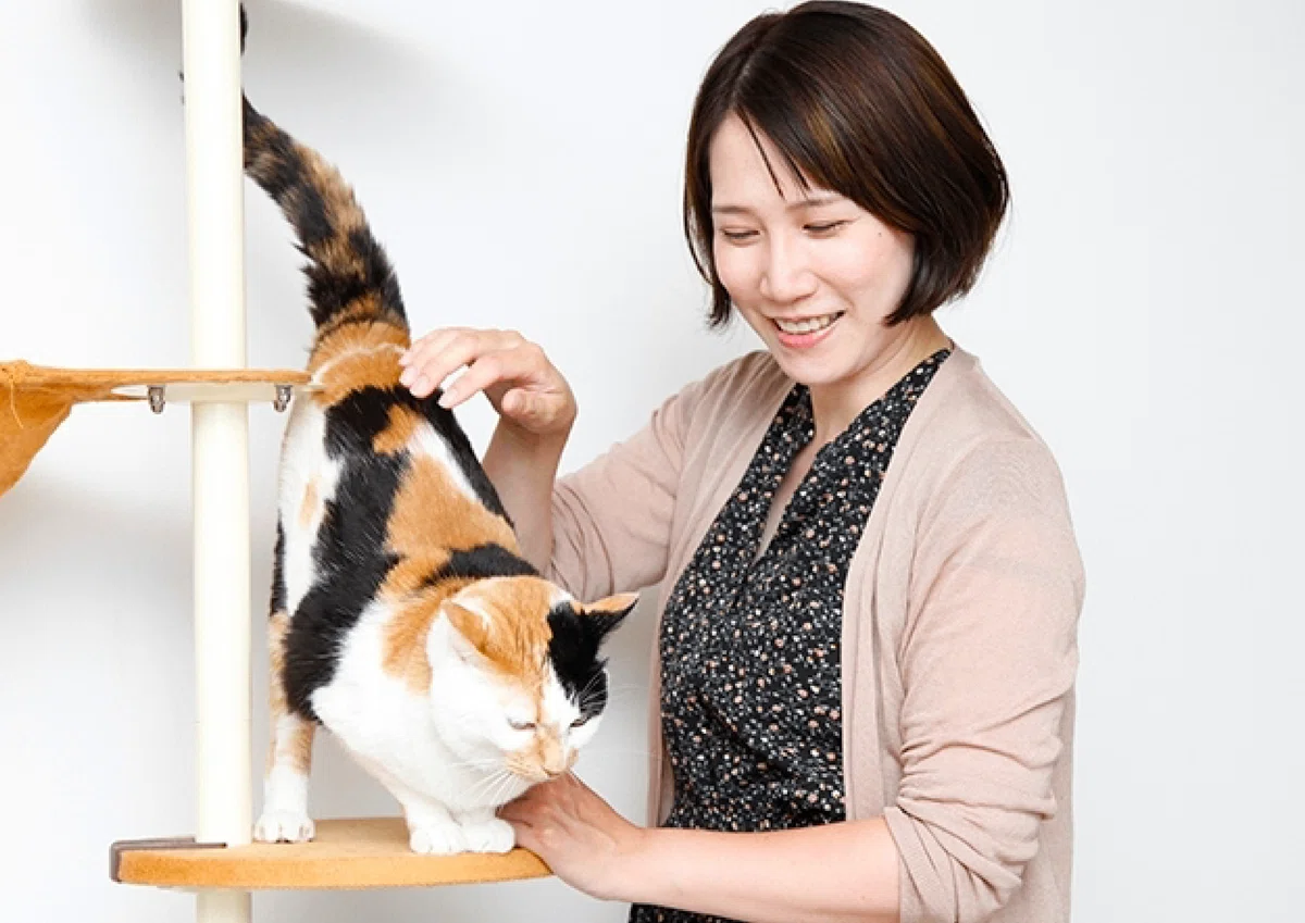 もしも事故にあったら、家で待つ猫はどうなる？」イラストレーター
