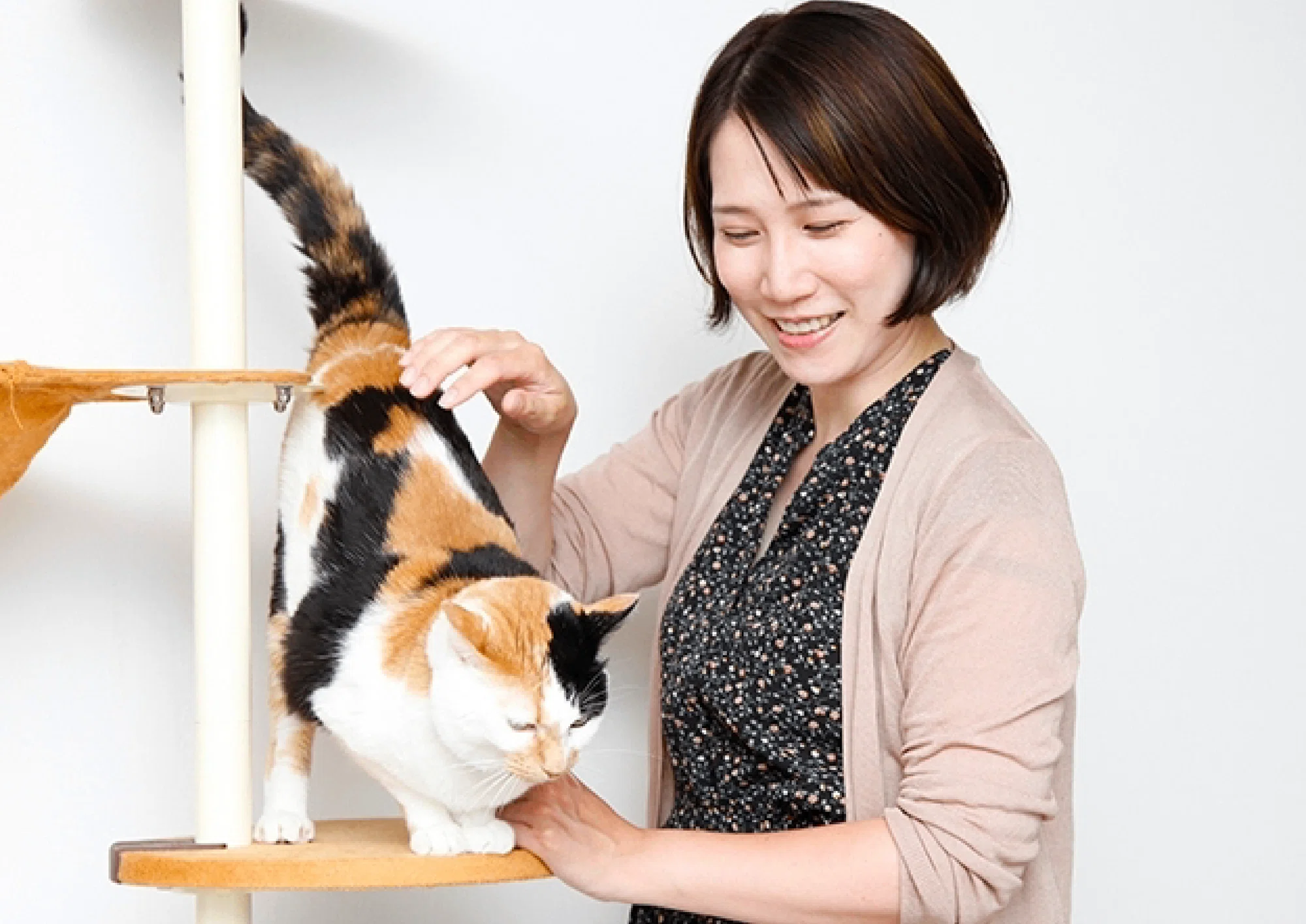 もしも事故にあったら、家で待つ猫はどうなる?」イラストレーター もしも事故にあったら、家で待つ猫はどうなる?」イラストレーター