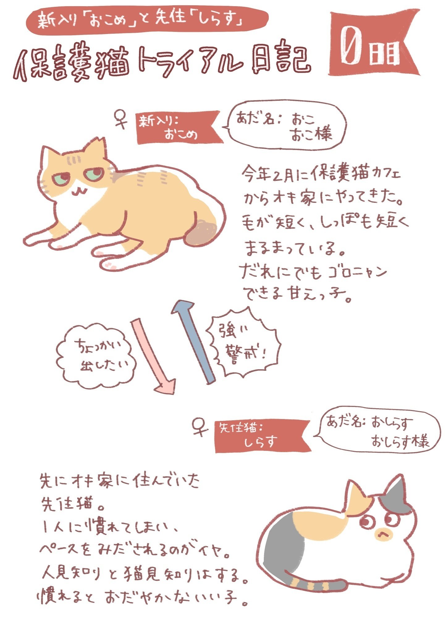 もしも事故にあったら、家で待つ猫はどうなる？」イラストレーター