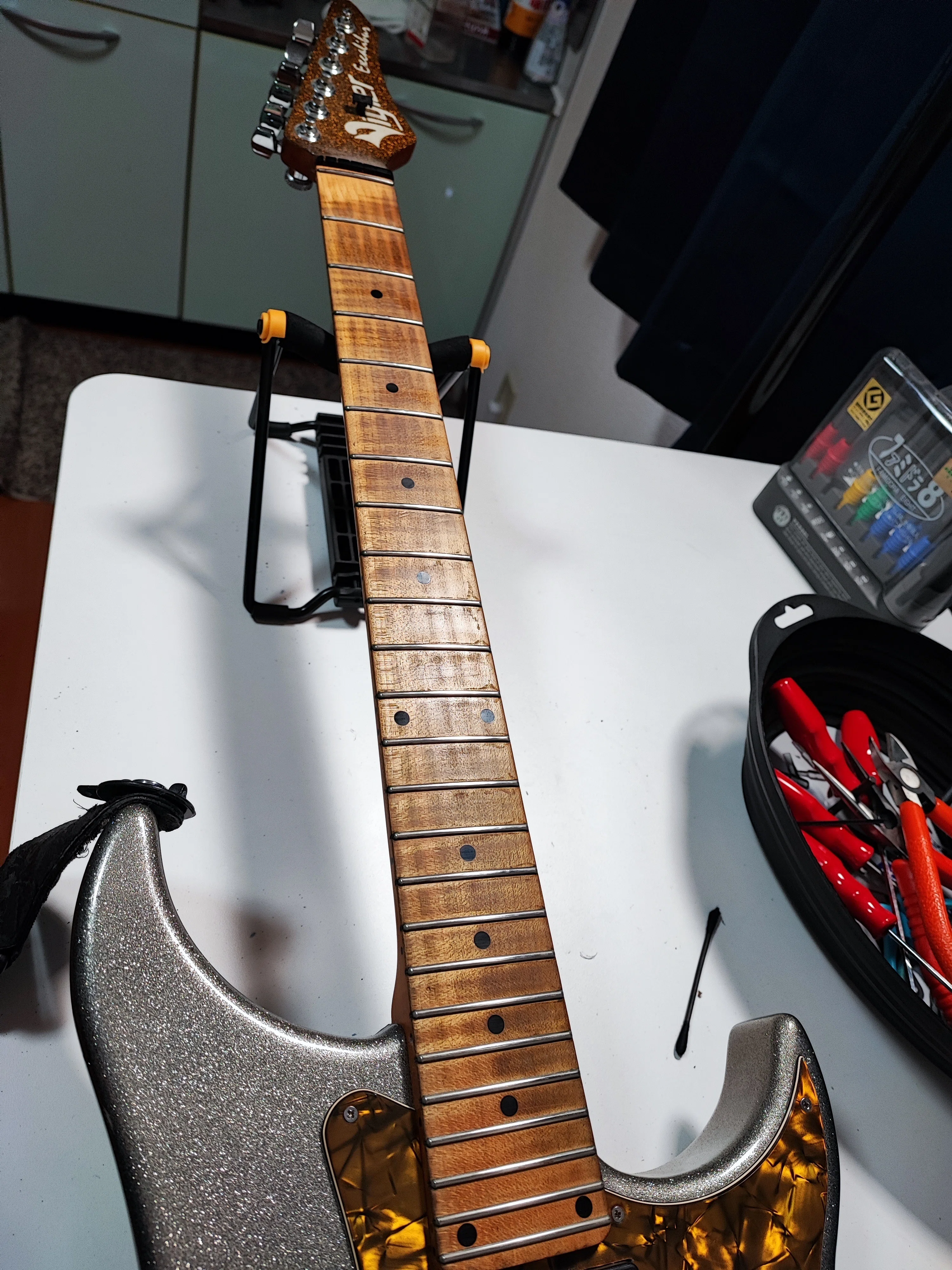 Vigier Excalibur モデルの紹介とVigier製ギターについて｜おわわ