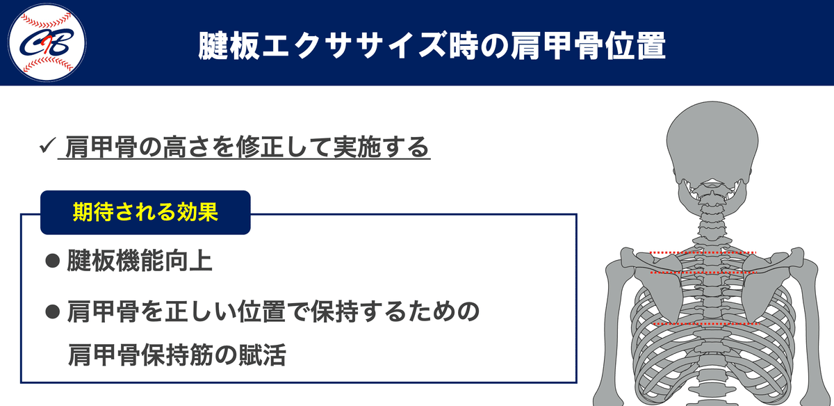 投球障害肩に対するアプローチ 投球障害肩に対するアプローチ