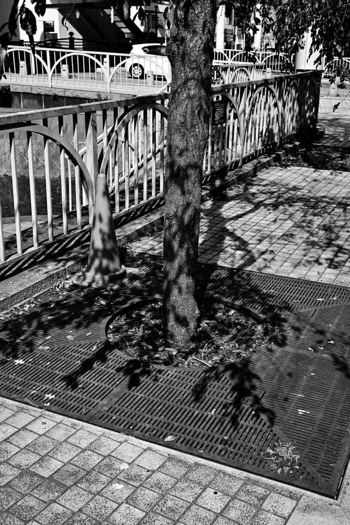 凡庸雑記「白と黒」モノクロ写真をもっと撮らなくてはと思う日々｜kpaxs