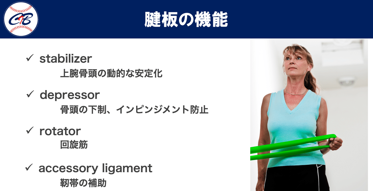 投球障害肩に対するアプローチ 投球障害肩に対するアプローチ～急性期から復帰に向けて