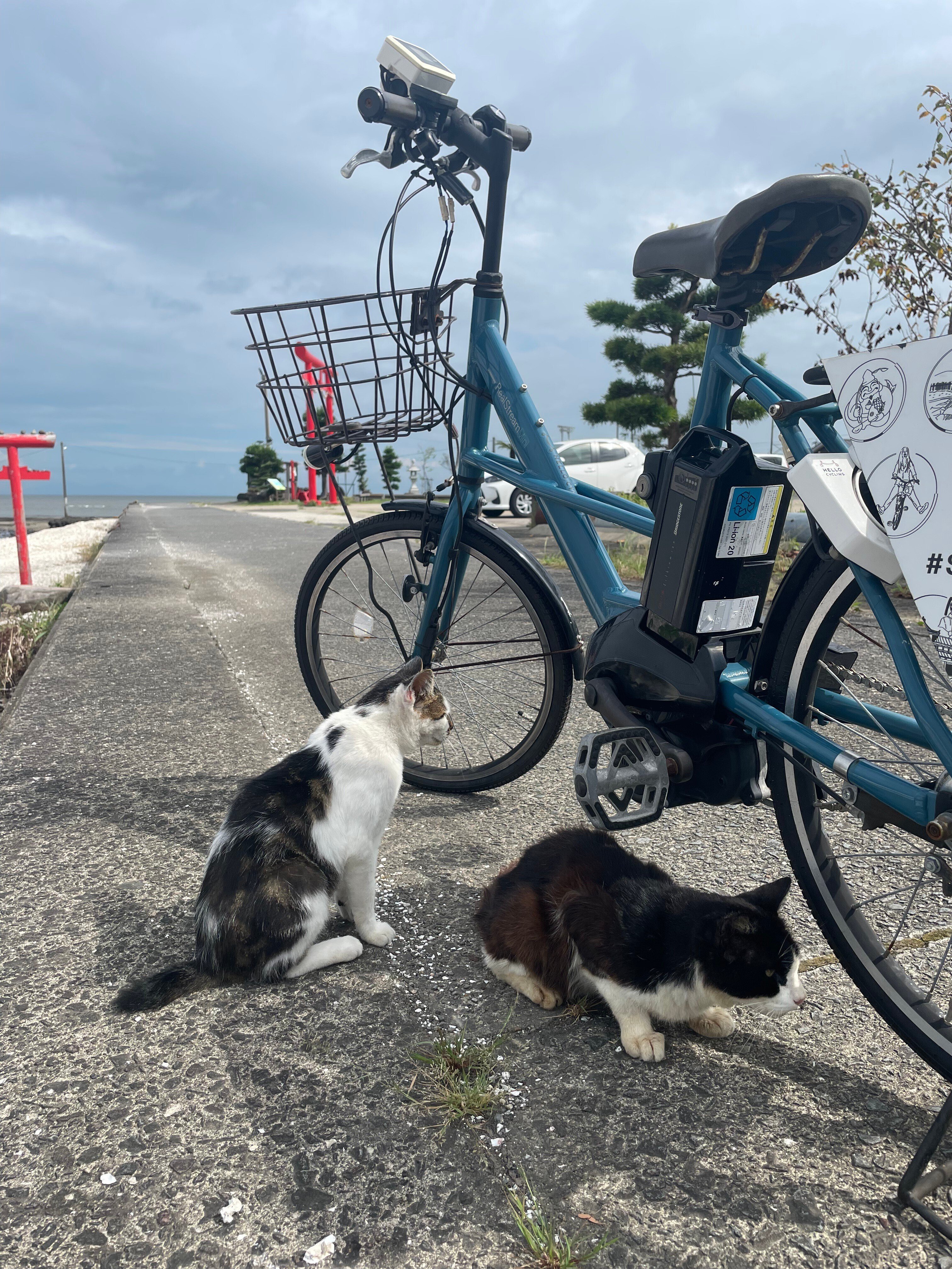 道 しとりん☆ ZXi7 Irons – Dunlop Srixon Sports Asia