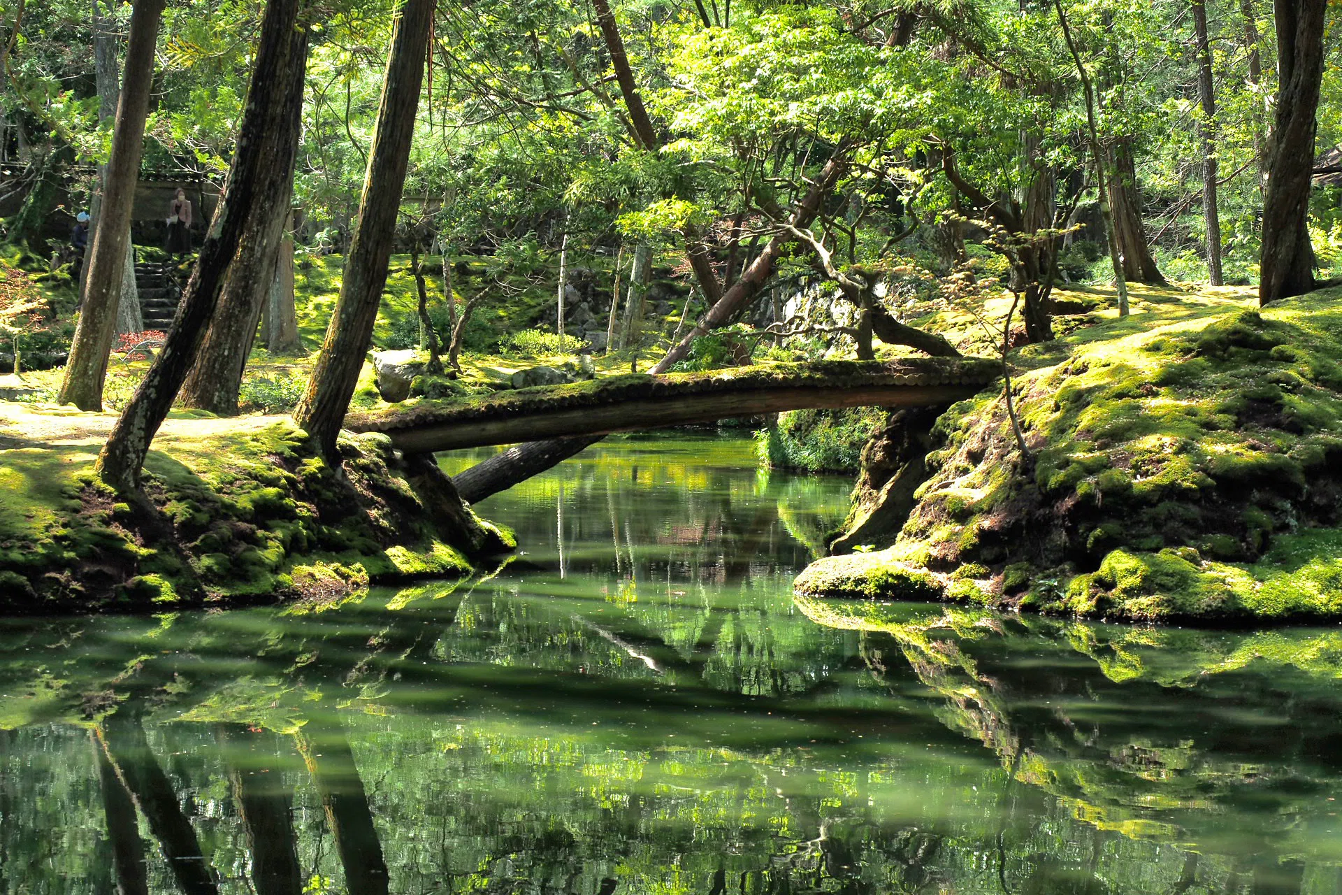 2023春 京都/苔寺｜さありん