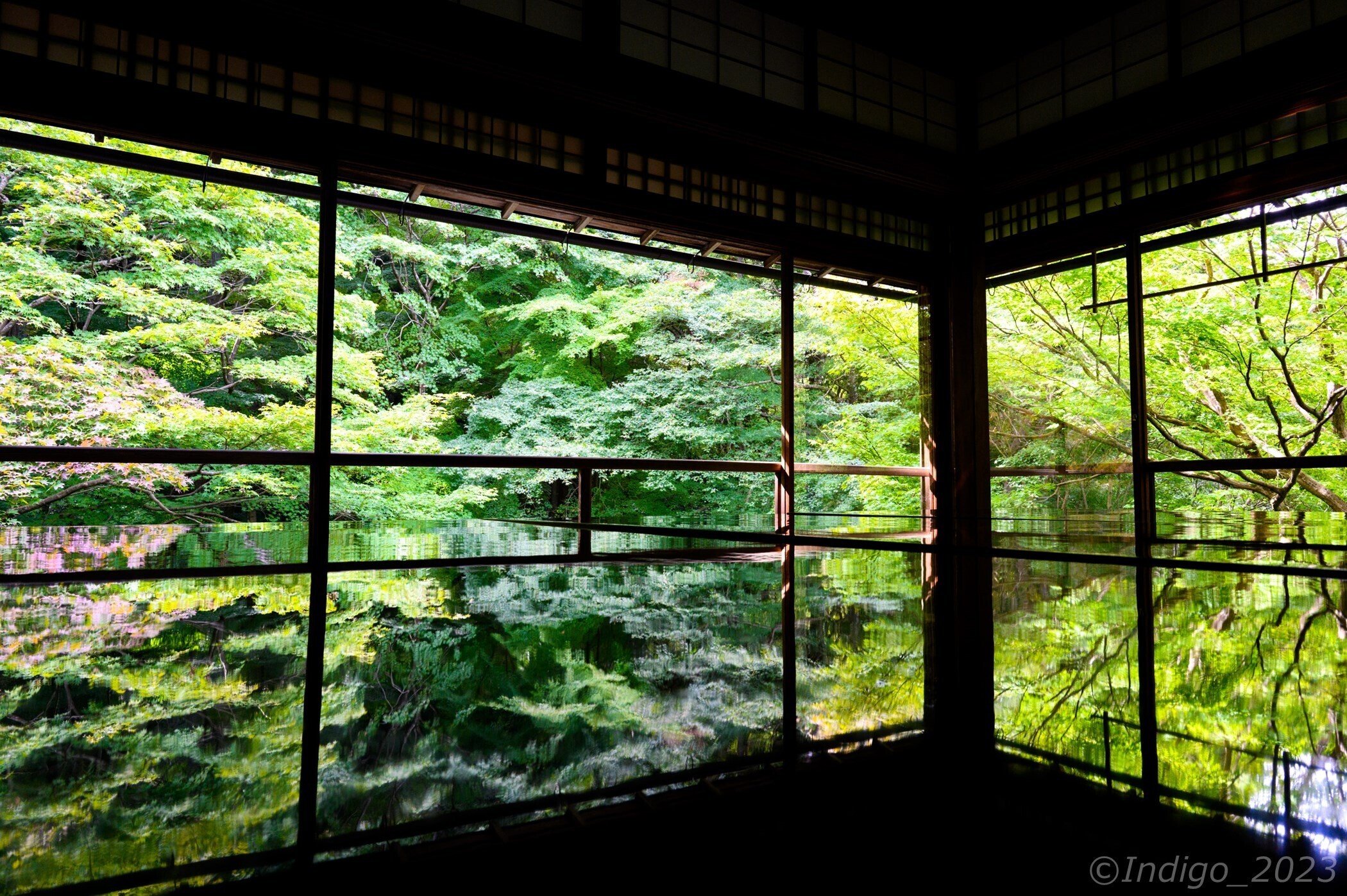 秋の京都を歩く2023【その1】｜Indigo