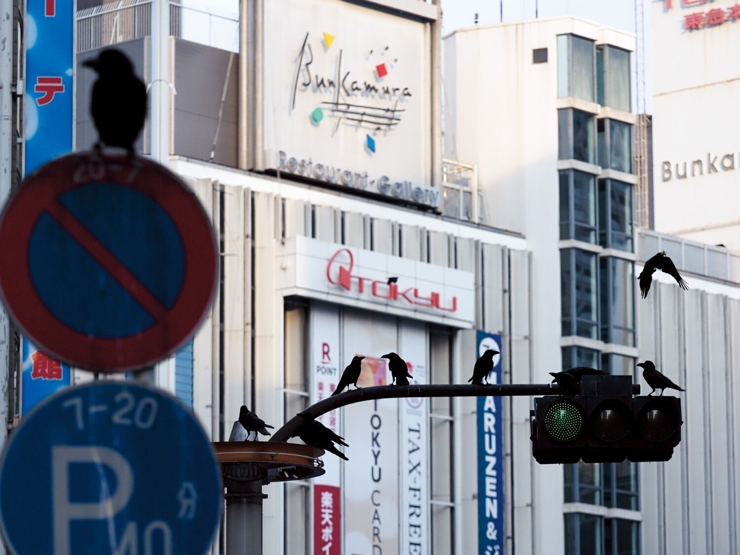 清水哲朗写真展 「トウキョウカラス」インタビュー｜OM SYSTEM