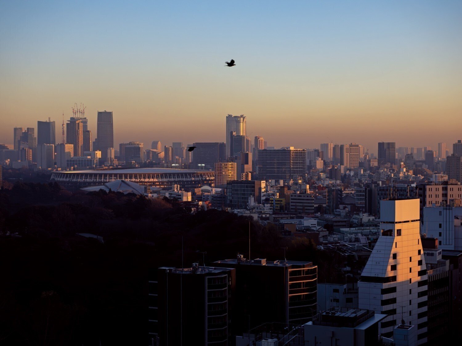清水哲朗写真展 「トウキョウカラス」インタビュー｜OM SYSTEM