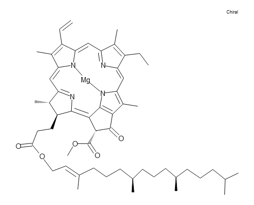 光化学の流行｜西園寺