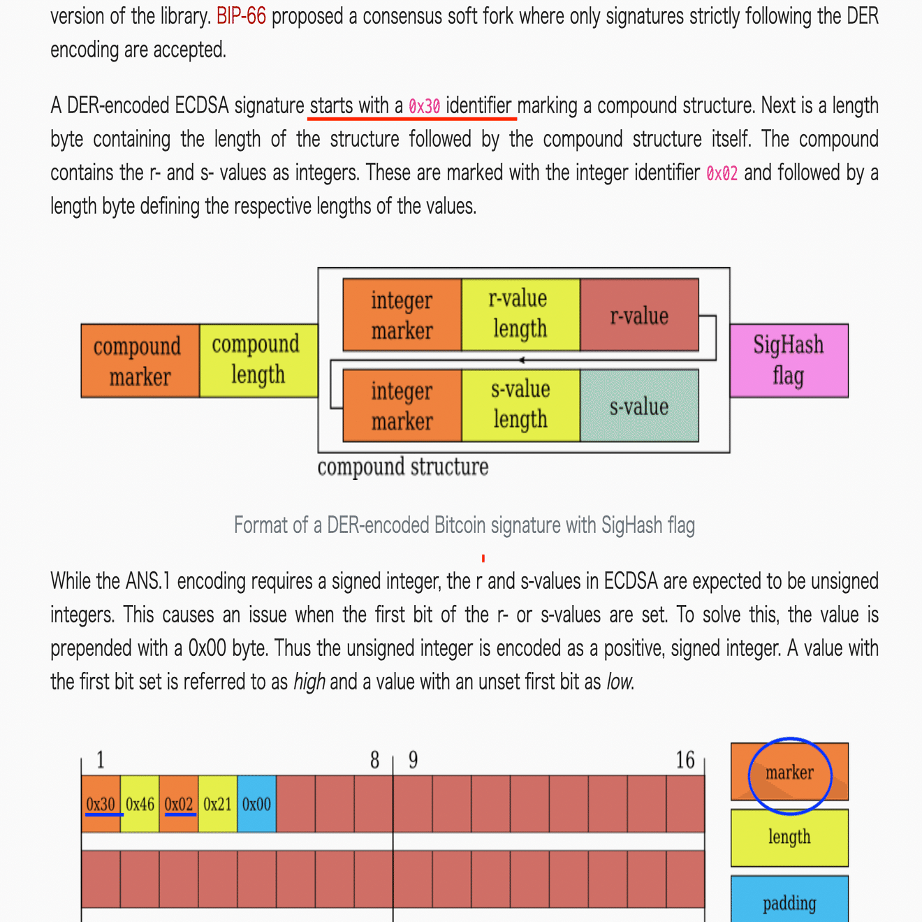 完全保存版】ブロックチェーンの署名と検証をしっかりと学ぼう！｜ユウキ