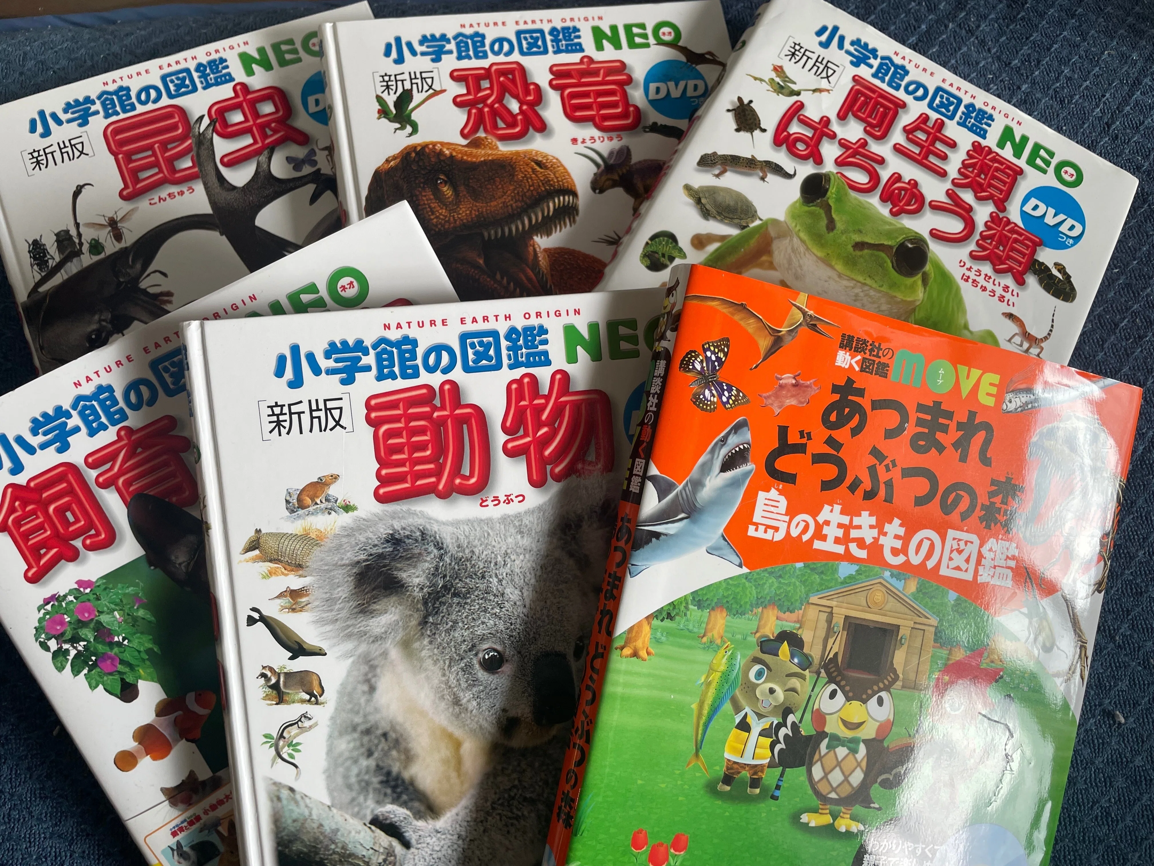 生き物」に夢中な5歳の子どもの本棚を紹介するよ〜〜〜！｜猪狩はな