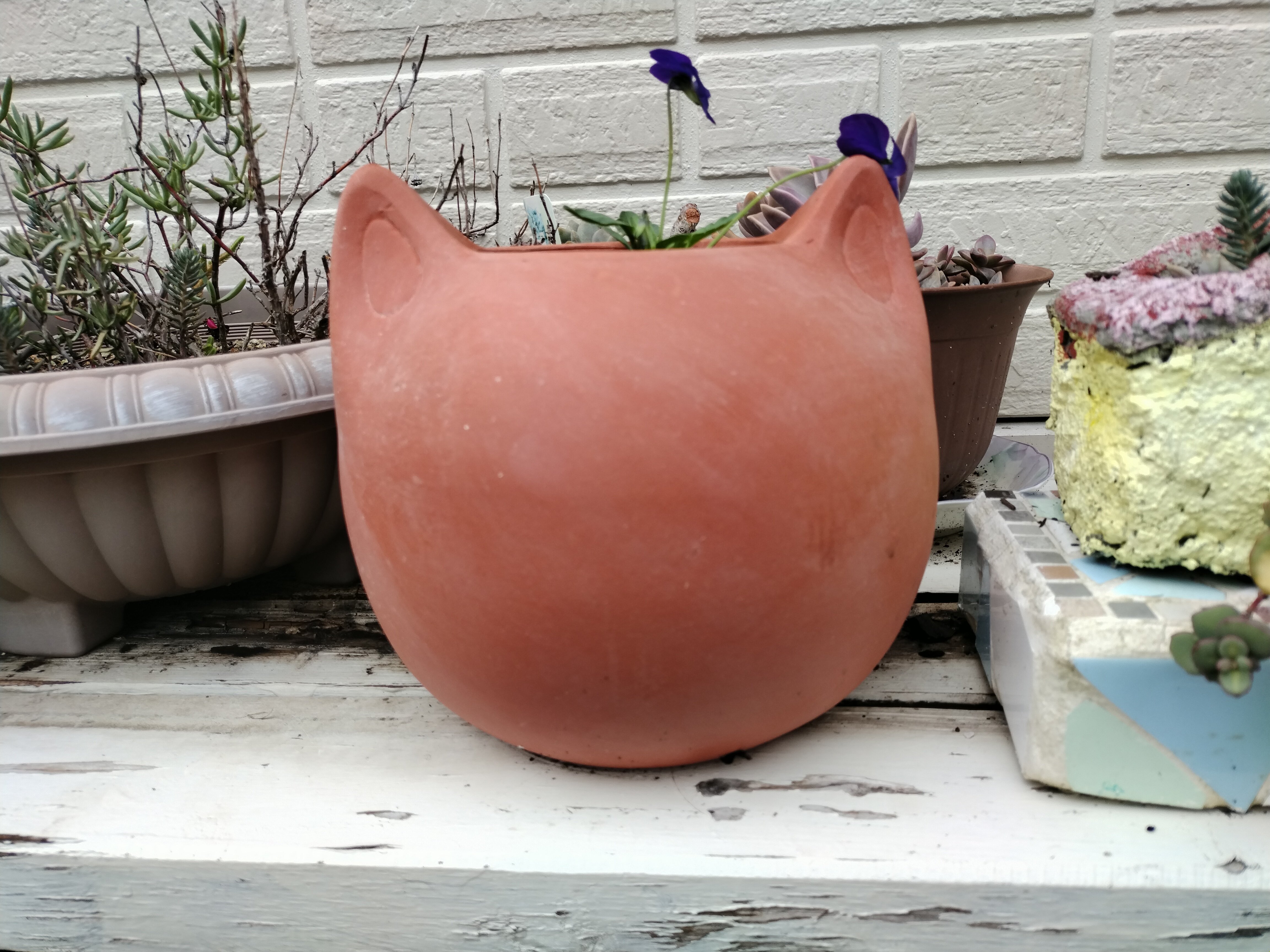 猫の首級にビオラ｜アトリエトモコ