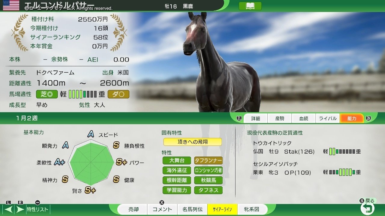 Winning Post 10 エルコンドルパサー 系統確立｜アリゼオ