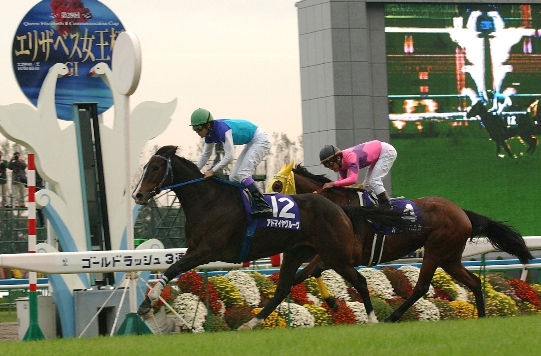 【期限切れ単複馬券】　メイクデビュー東京　ドゥラメンテ　ウマ娘 勝負服も丁寧に再現！『ウマ娘 プリティーダービー』ドゥ