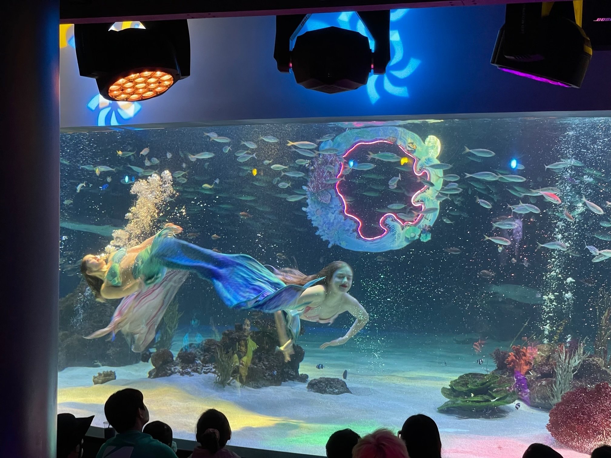 アクアプラネット63に行ってみた(2023年10月)｜さばのさしみ