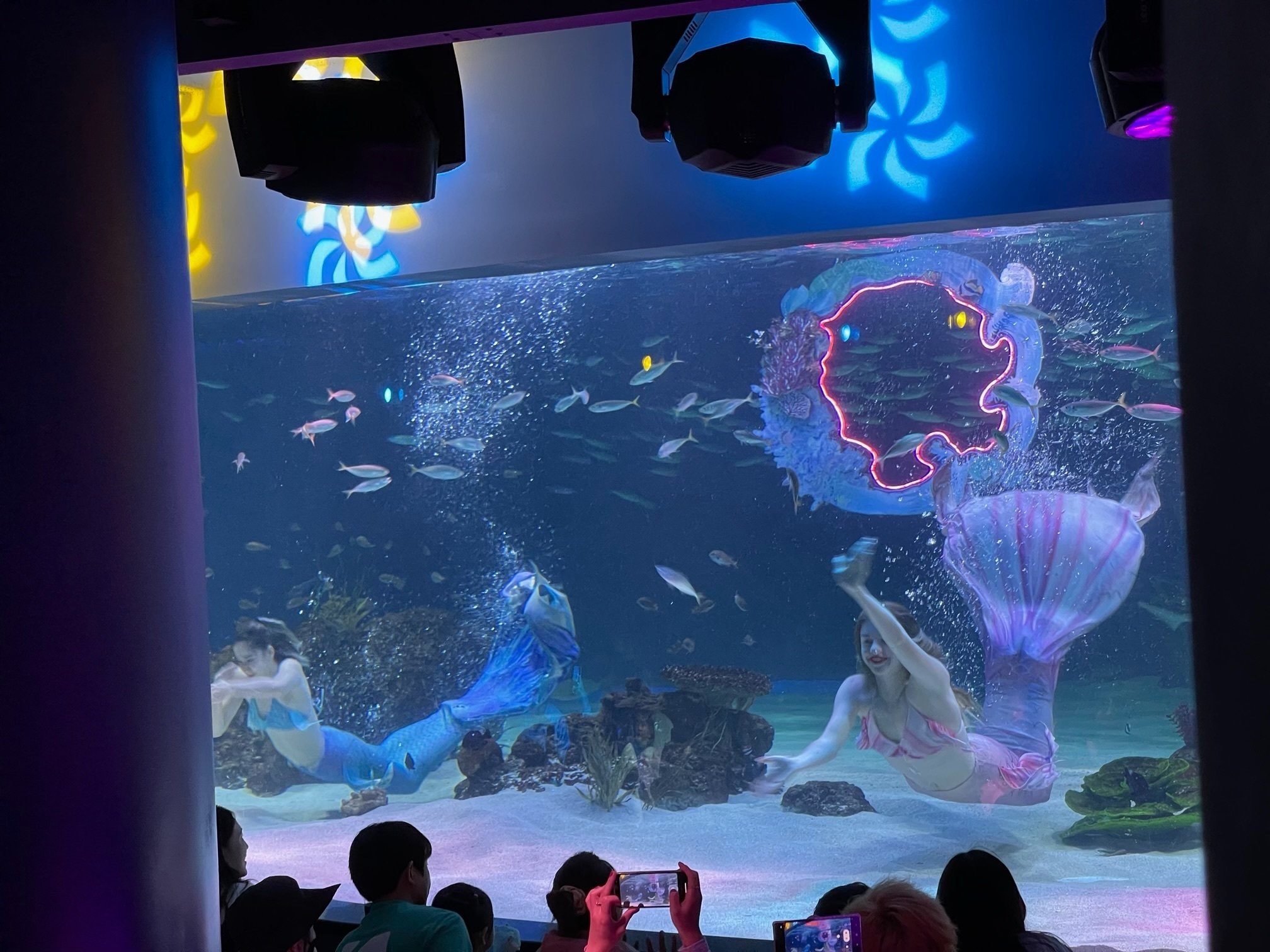 アクアプラネット63に行ってみた(2023年10月)｜さばのさしみ