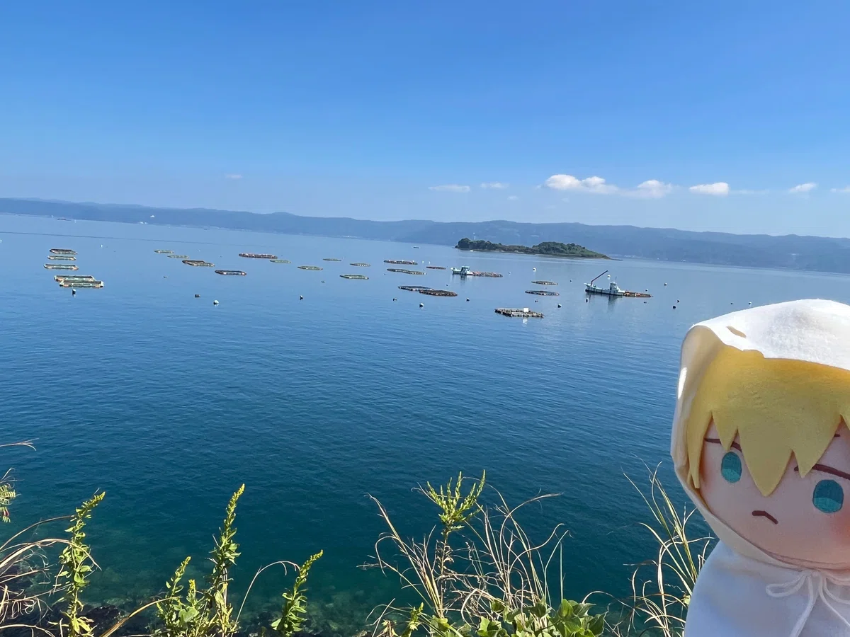 画像