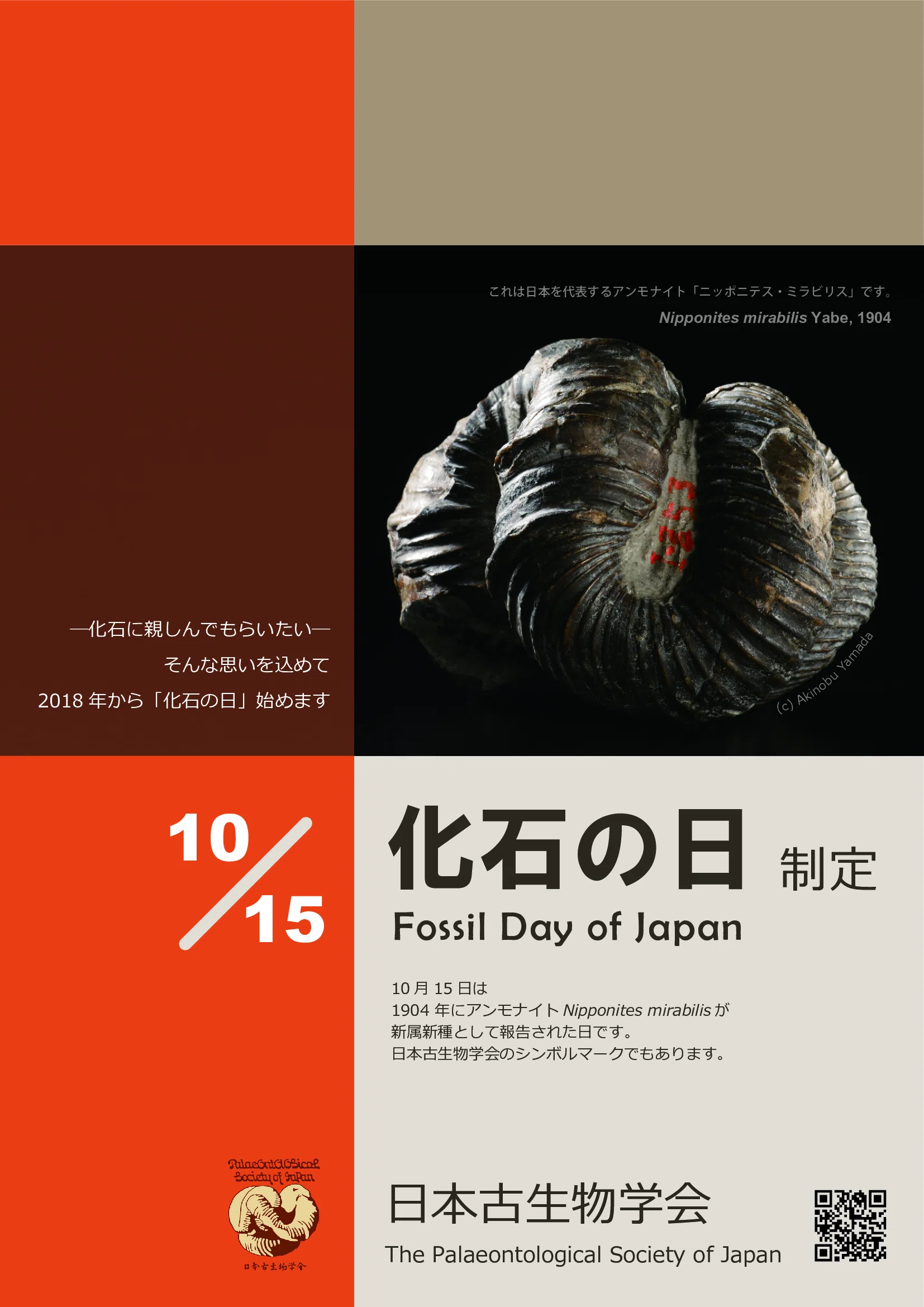 かつて水晶は「氷の化石」だと考えられていた【化石の日】｜小野田の超