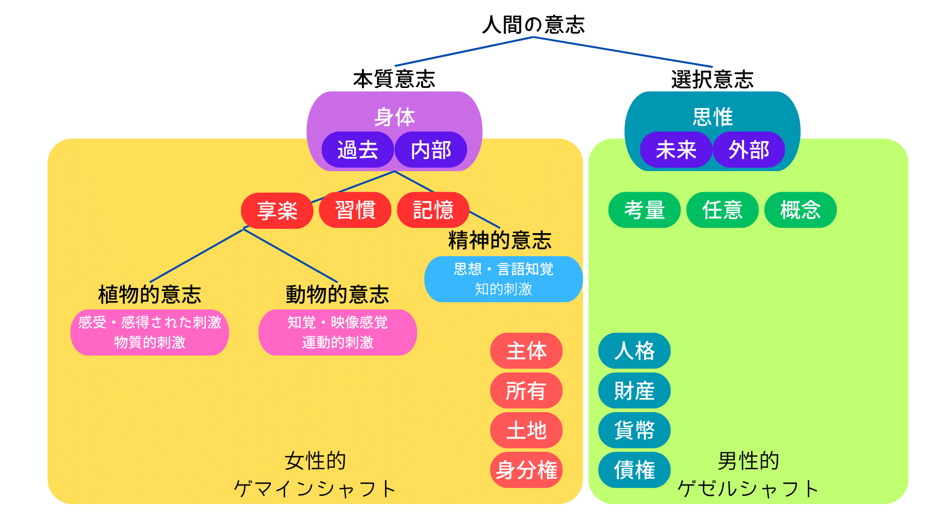 ゲマインシャフトとゲゼルシャフト 上下セット　純粋社会学の基本概念 ゲマインシャフトとゲゼルシャフト〈上巻〉―純粋社会学の基本