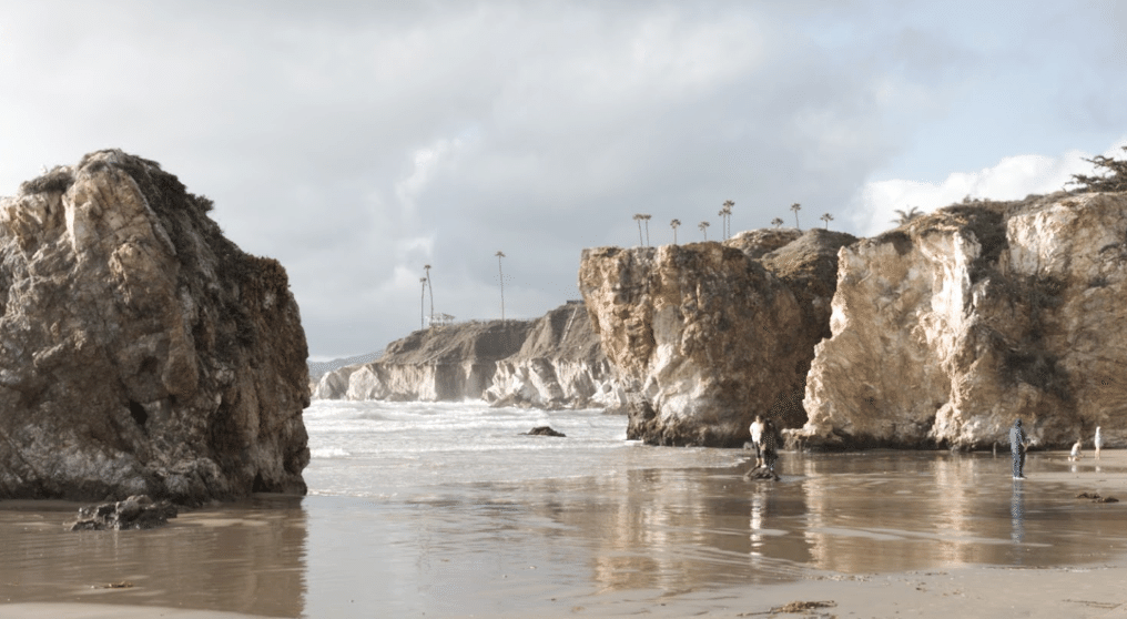 ビーチと肉体―浜辺の文化史 (カリフォルニア・オデッセイ