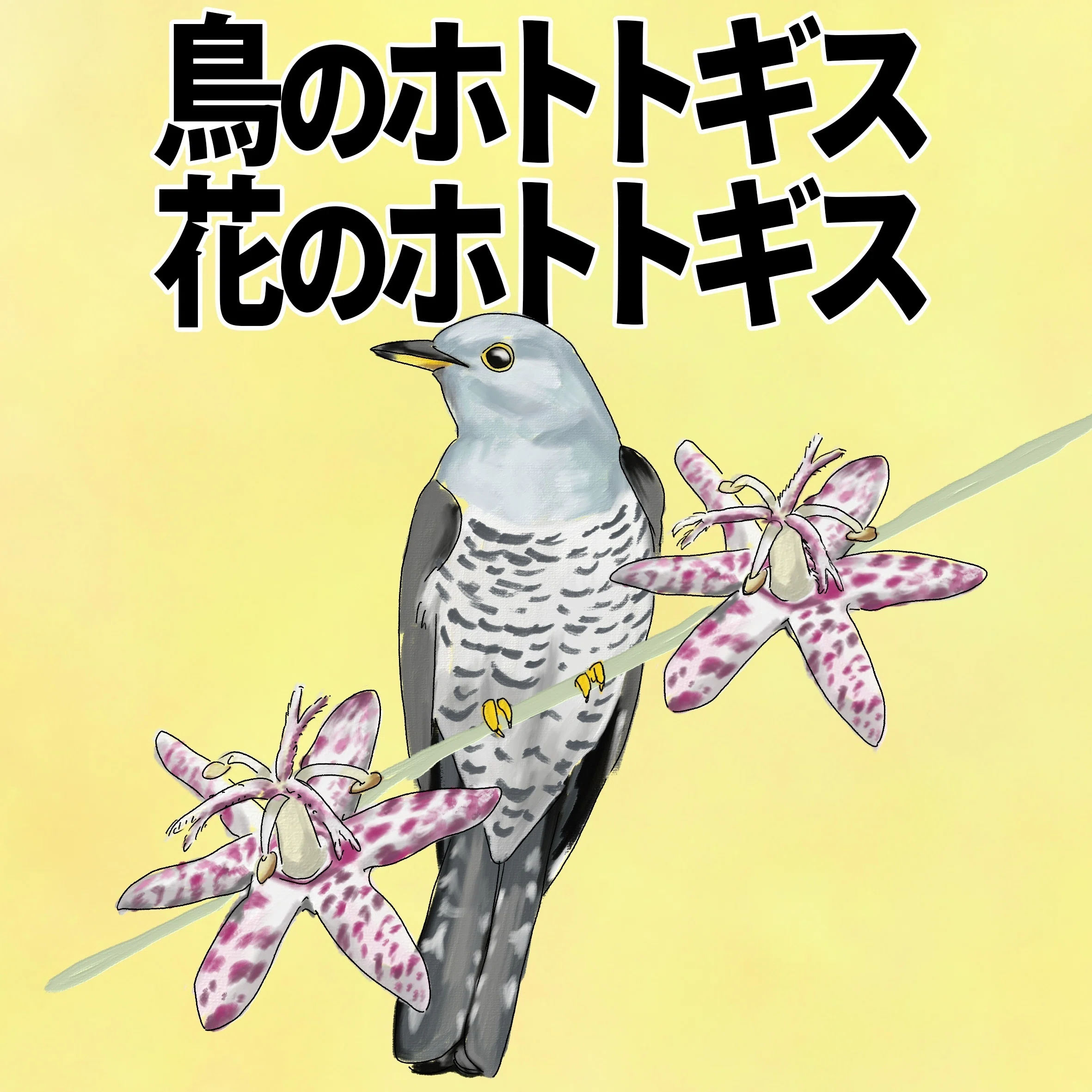 鳥のホトトギス、花のホトトギス｜くますけ｜自然ガイド・クリエイター
