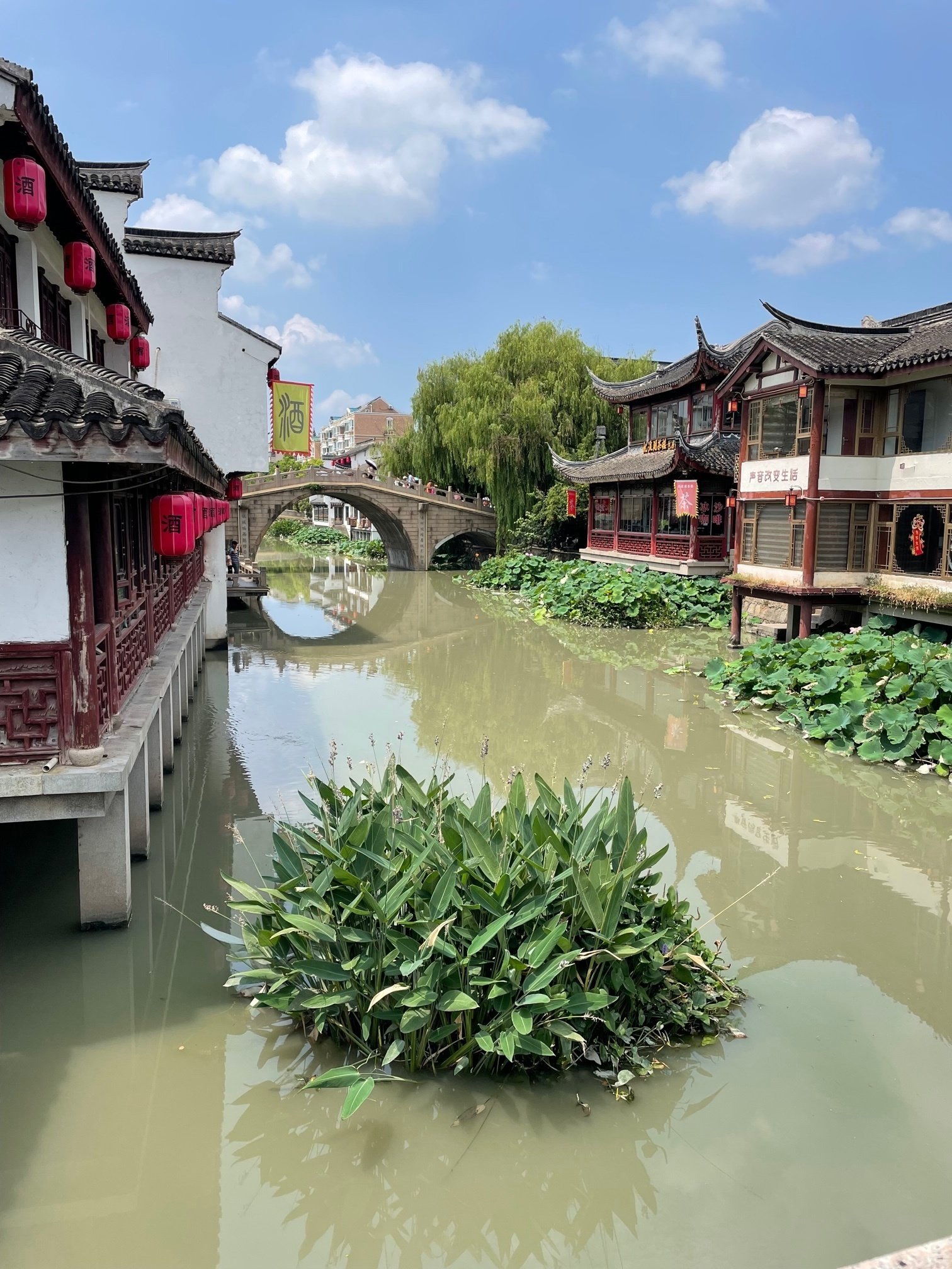 2023夏・中国編】七宝老街へショートトリップ｜どんぐりころころ