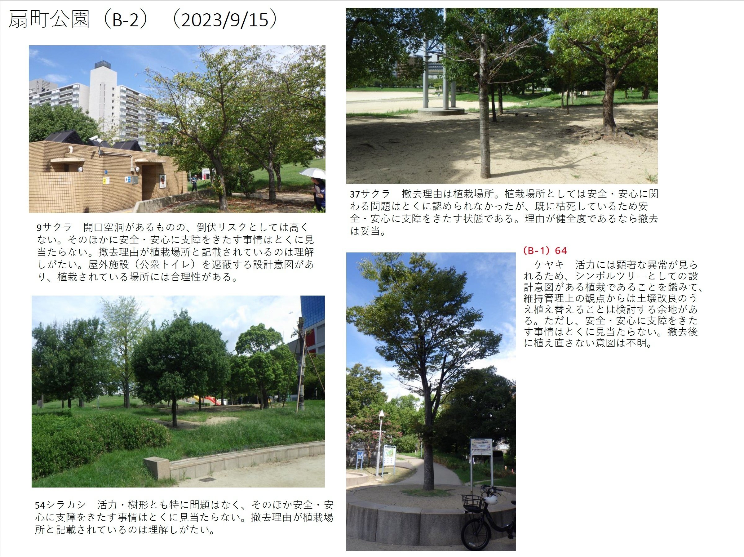 日本の街路樹 環境汚染とその浄化システム 大阪日日新聞社