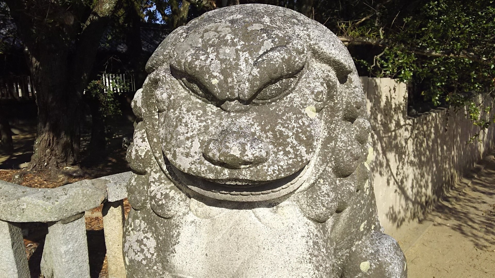 コマイヌの親分さん～香川県｜ぼんろ