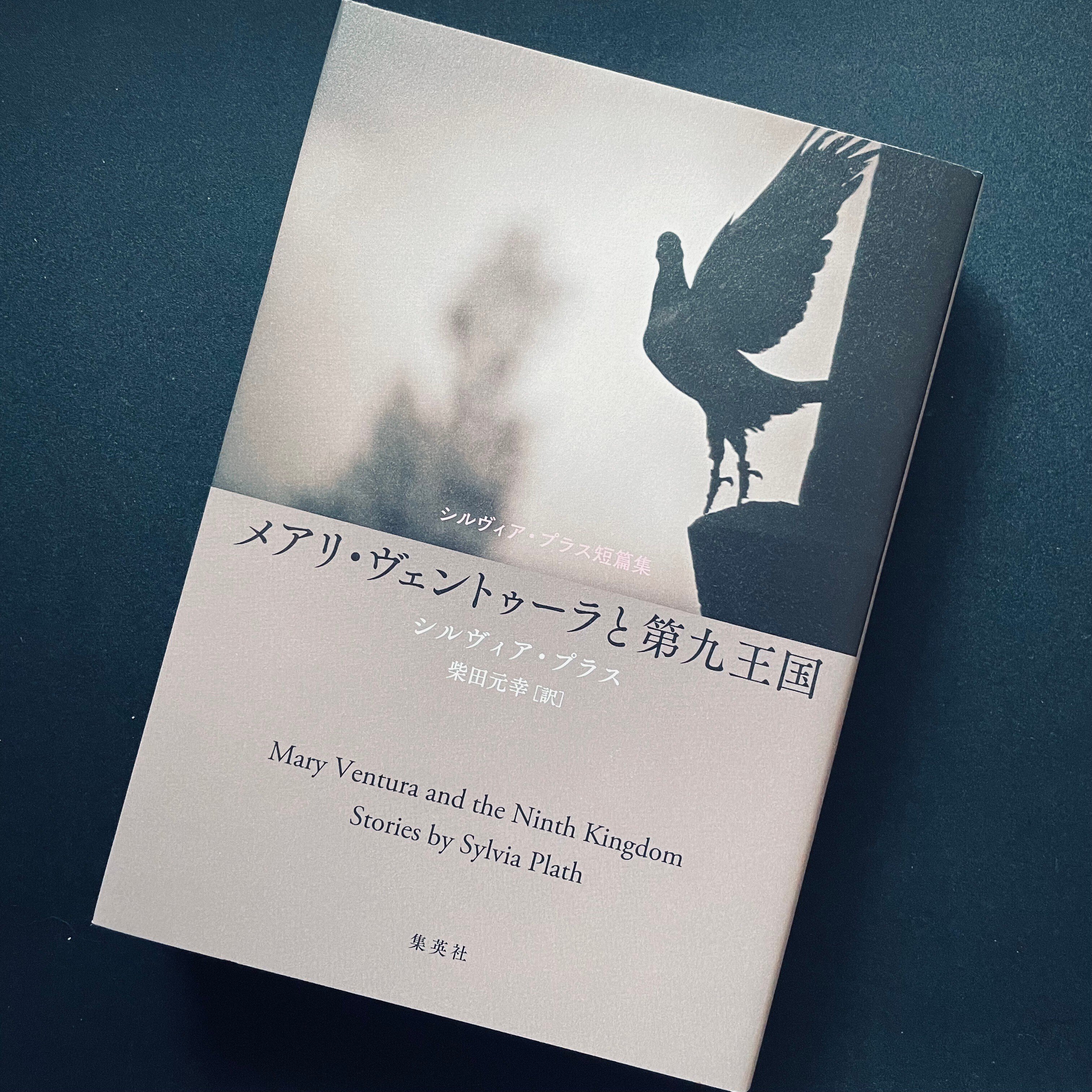 シルヴィア・プラス詩集 (アメリカ現代詩共同訳詩シリーズ) Amazon.co.jp: シルヴィア・プラス詩集 (アメリカ現代詩共同訳詩