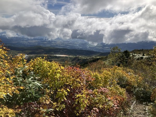 茶臼岳の紅葉