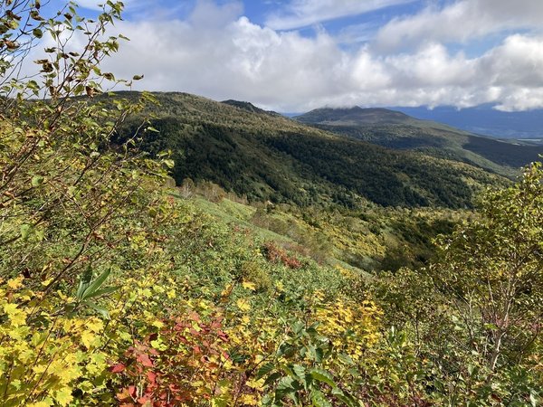 茶臼岳の紅葉