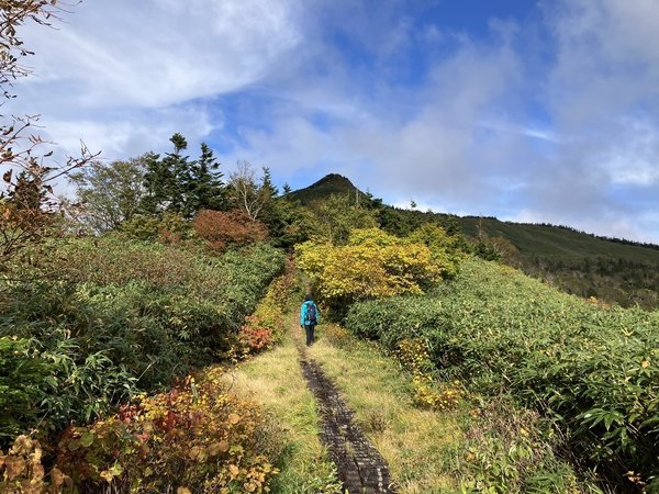 茶臼岳の紅葉