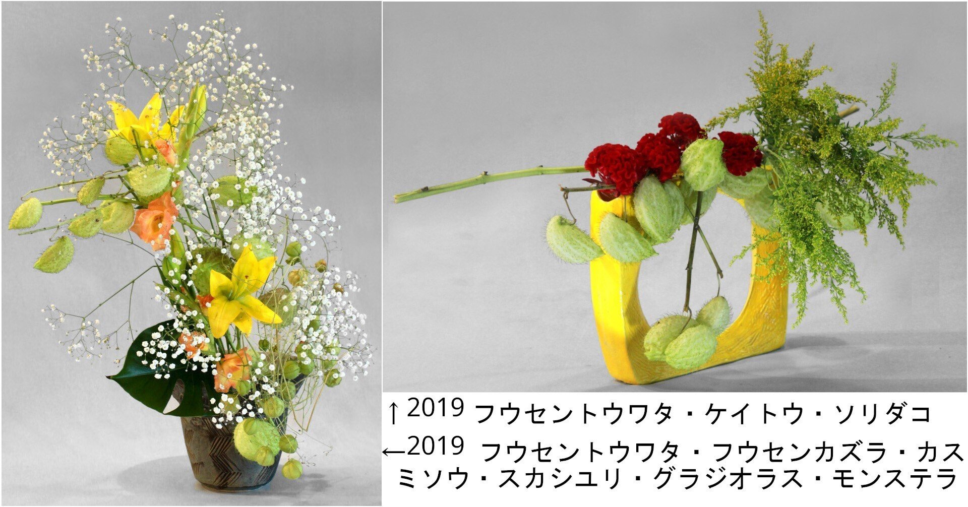フウセントウワタ　水彩画 フウセントウワタ 水彩画 - メルカリ
