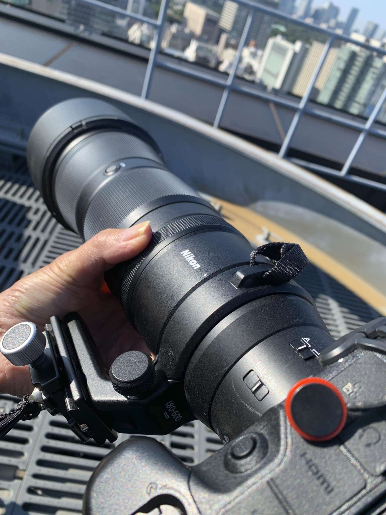 NIKKOR Z 180-600mm f/5.6-6.3 VR ツバメ編|ツバメ NIKKOR Z 180-600mm f/5.6-6.3 VR ツバメ編|ツバメ