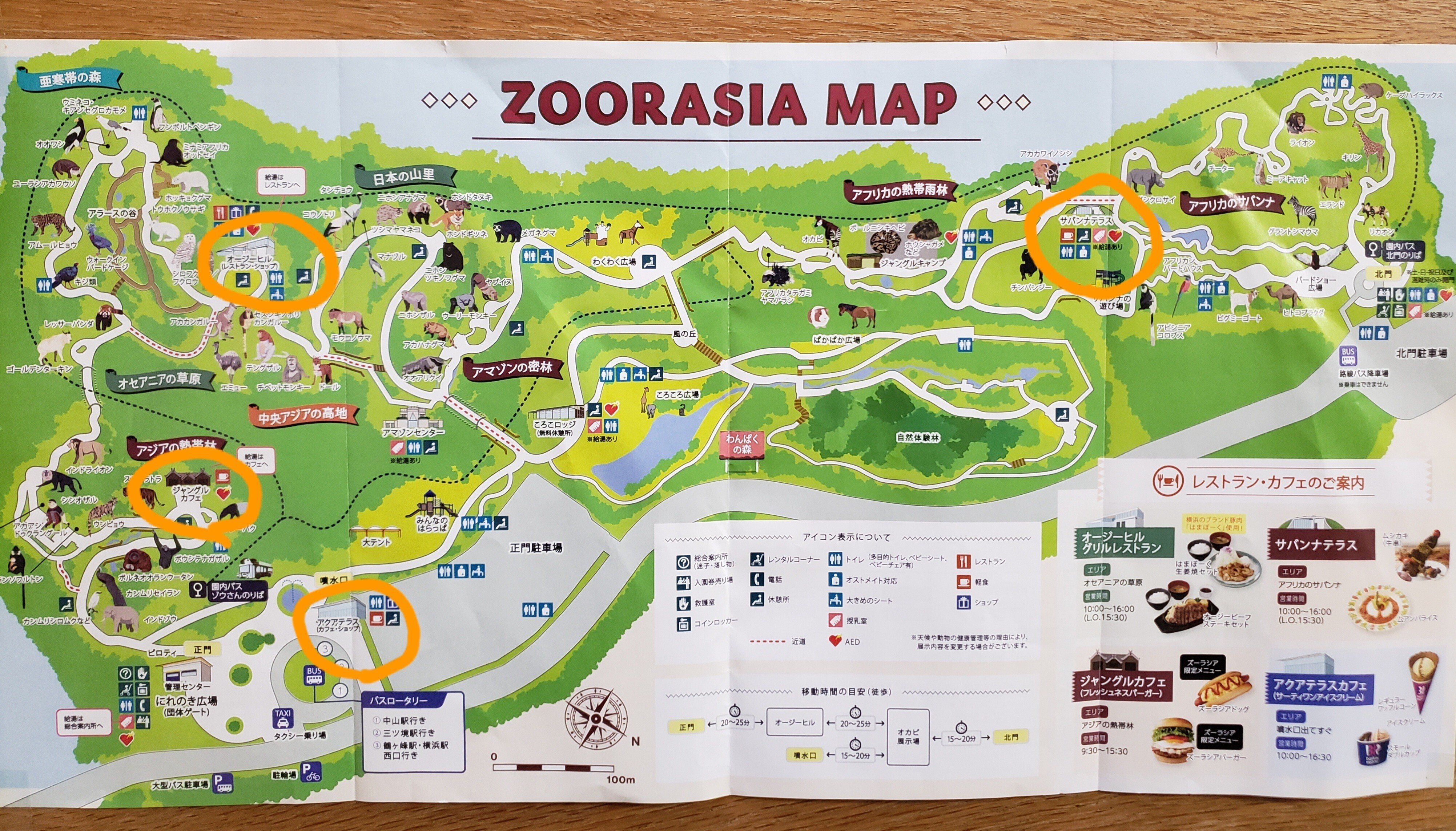 歩いて世界一周旅行気分 よこはま動物園ズーラシア｜Banana310