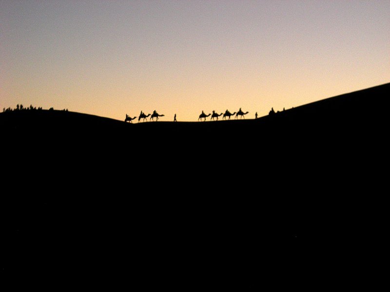 朝焼けの中、駱駝隊が砂丘をのぼっていく