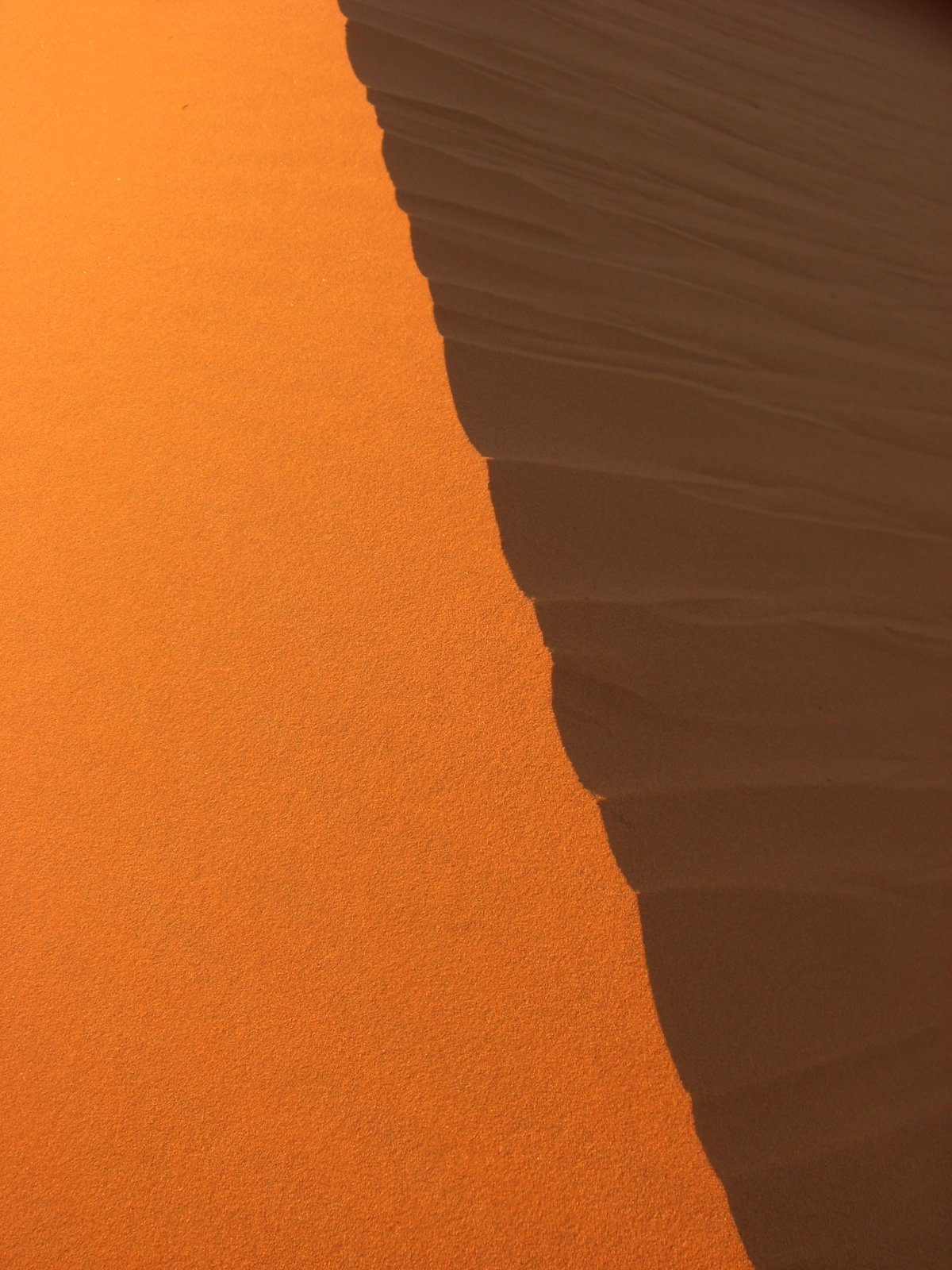砂丘の稜線は、光の当たる赤色と、影の落ちる黒色とがくっきり分かれている