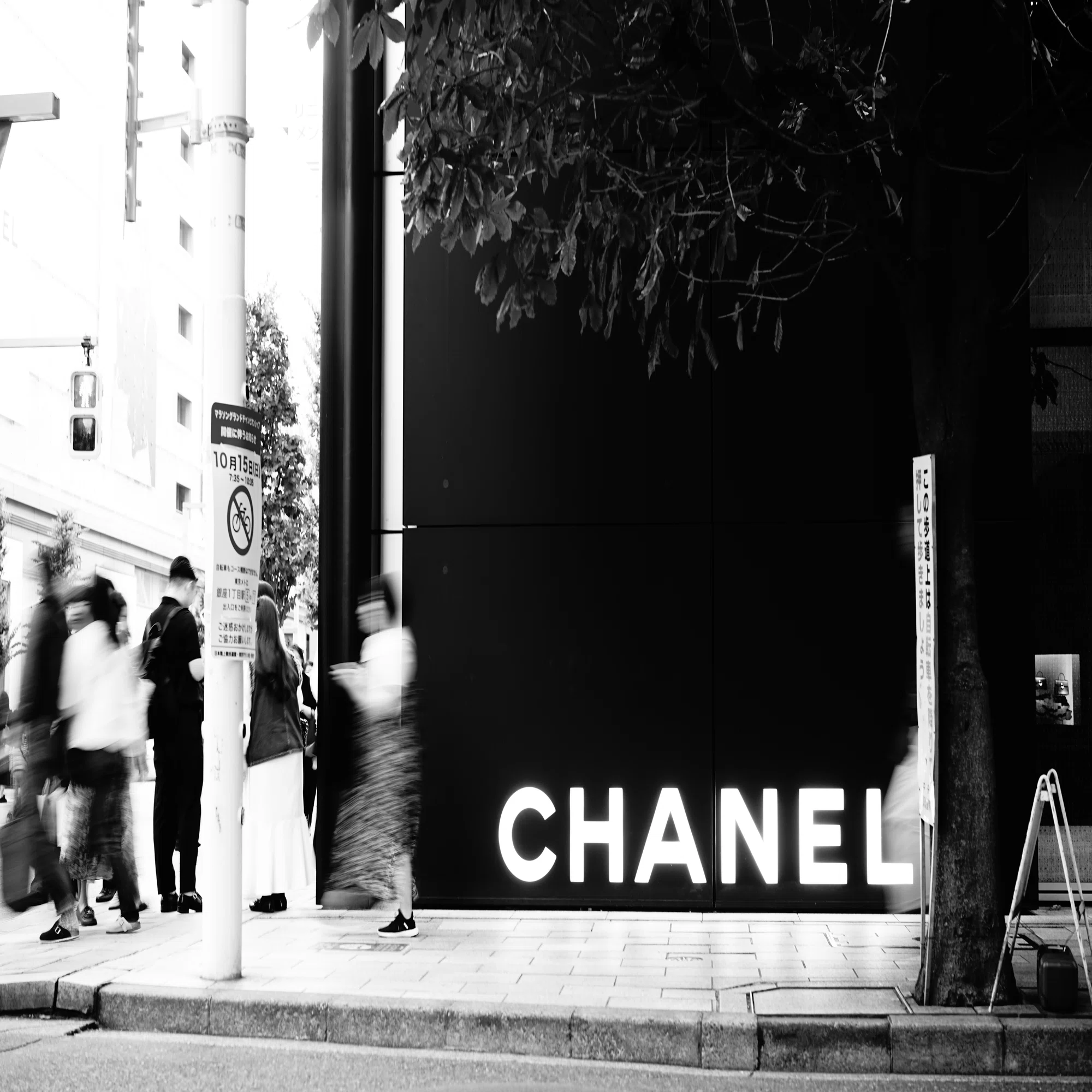 展覧会レポ：CHANEL NEXUS HALL「In Praise of Shadows ヴェルサイユ 