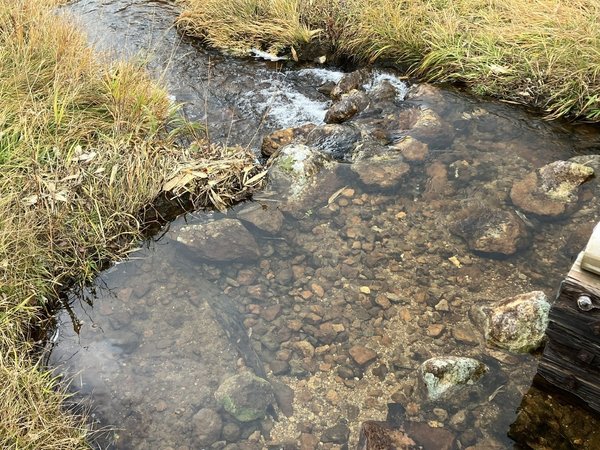 八幡平の湧き水