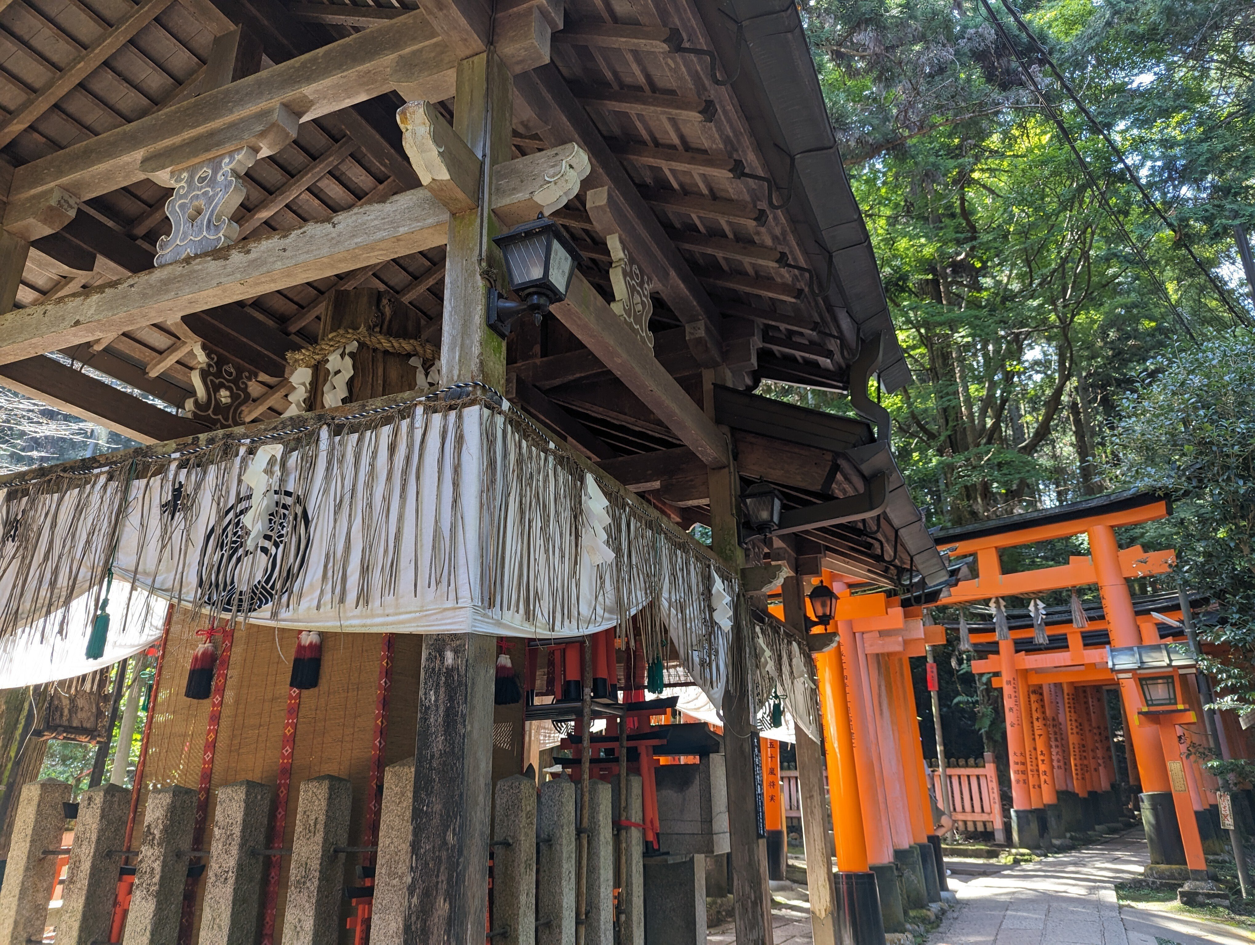 京都・伏見稲荷大社 【登り】山頂へ｜さりー